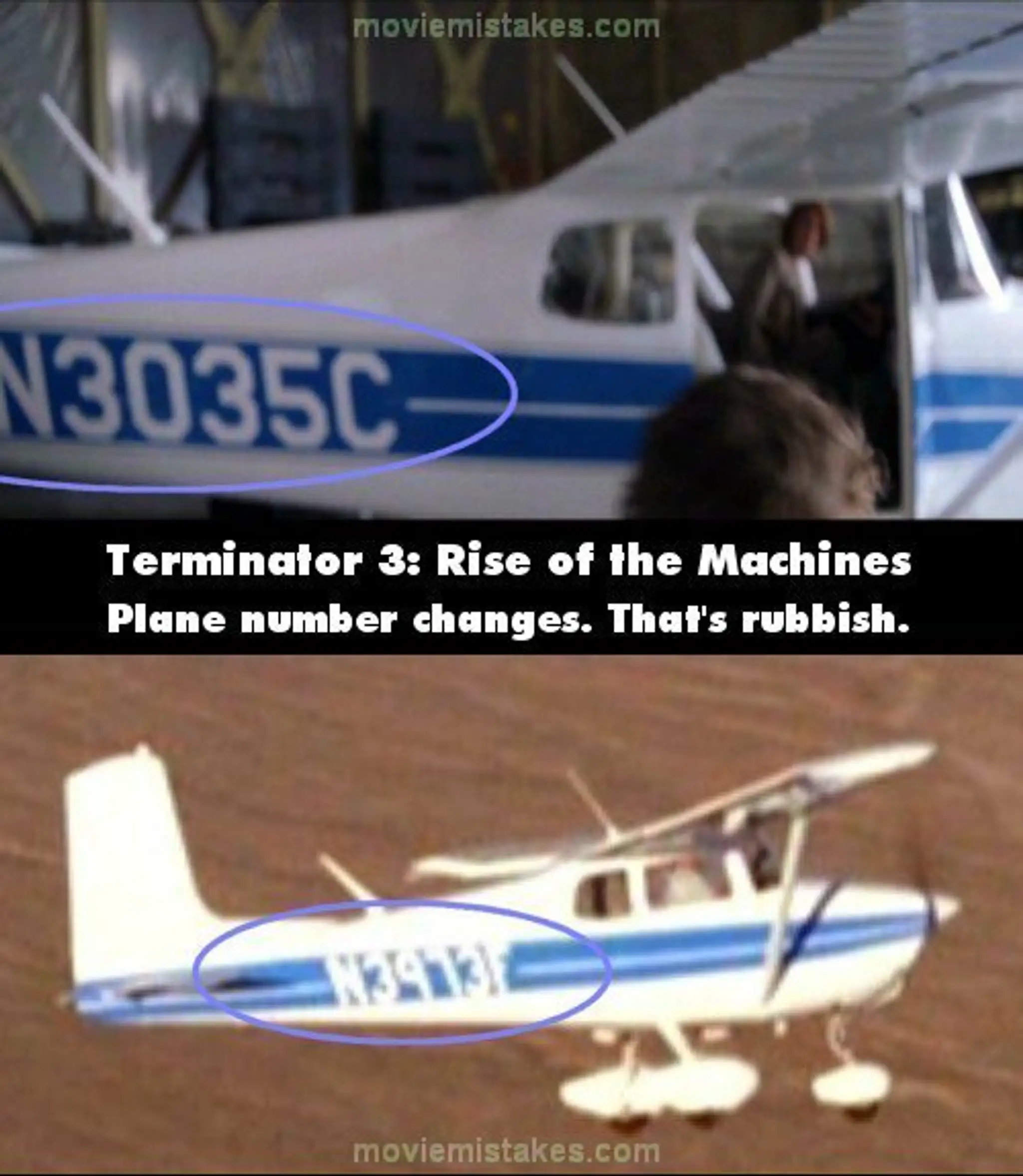 terminator.jpg