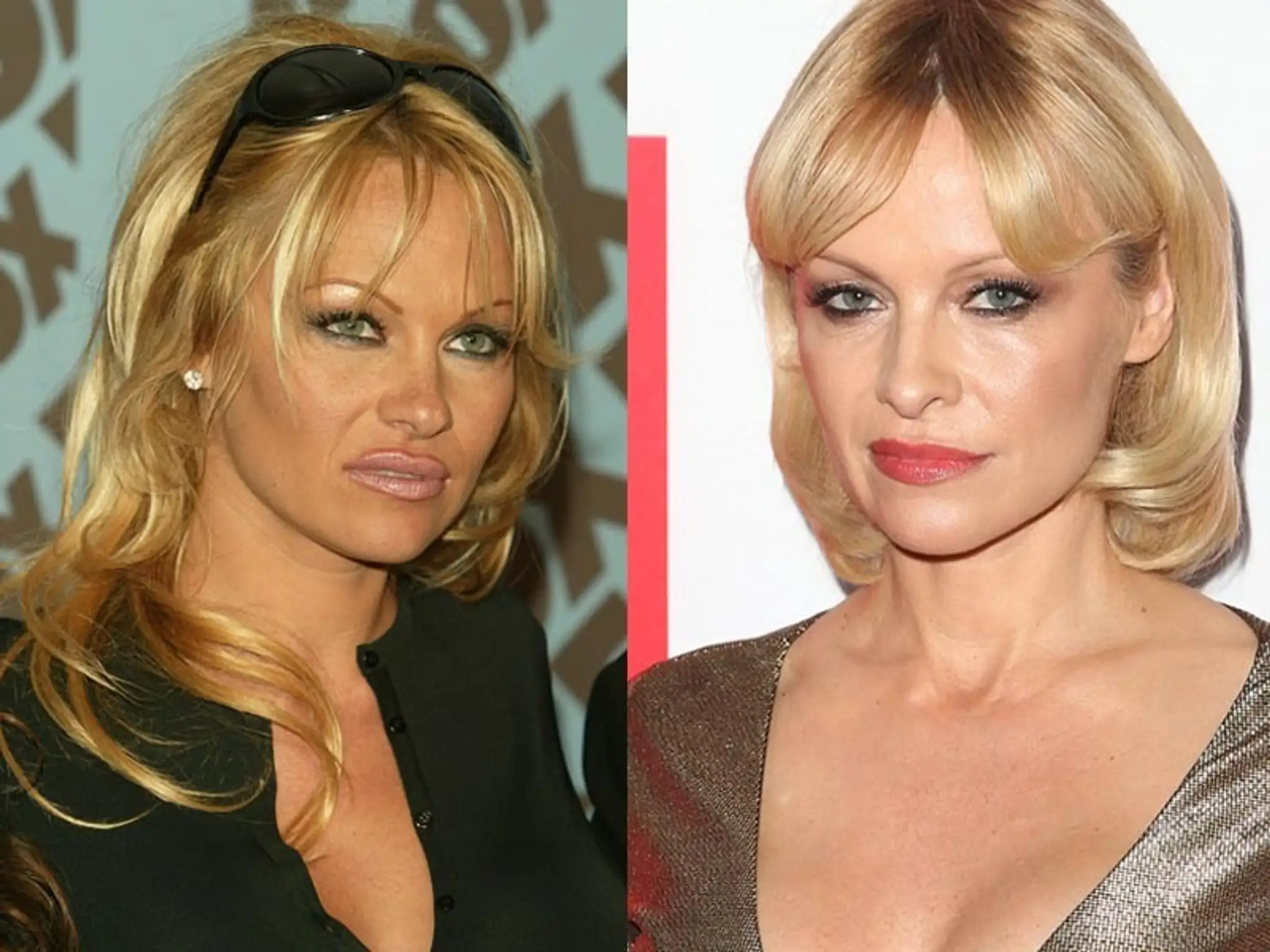 pamela anderson.jpg