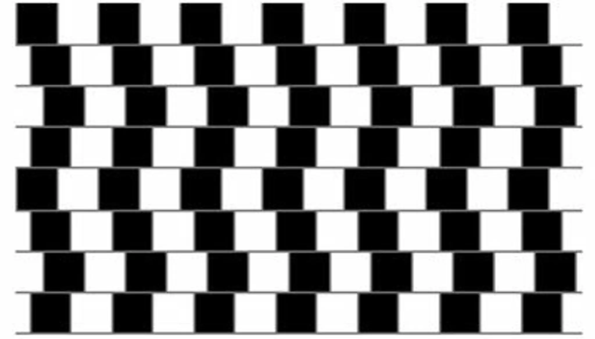 optical-illusion3.jpg