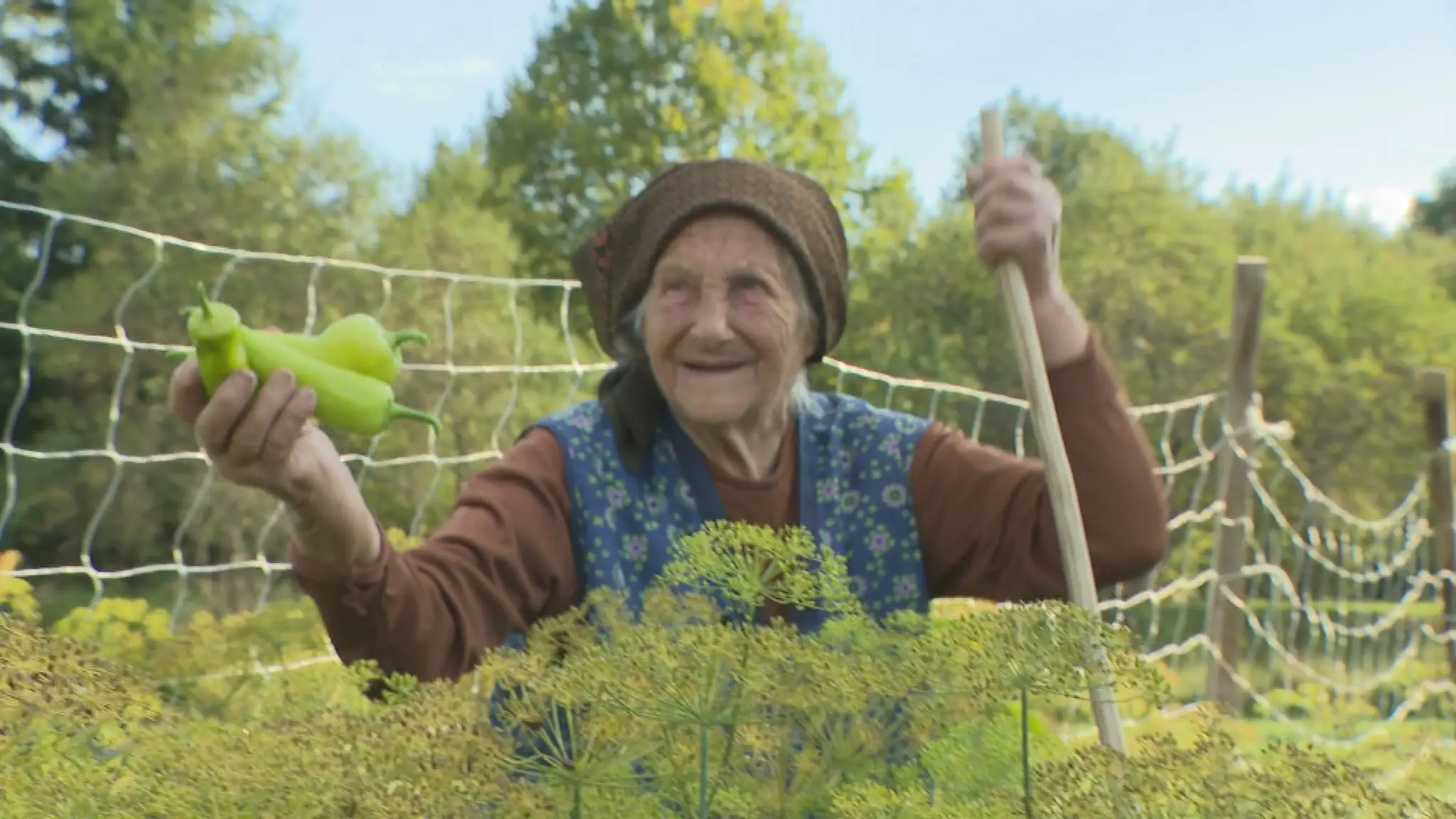 Pani Mária