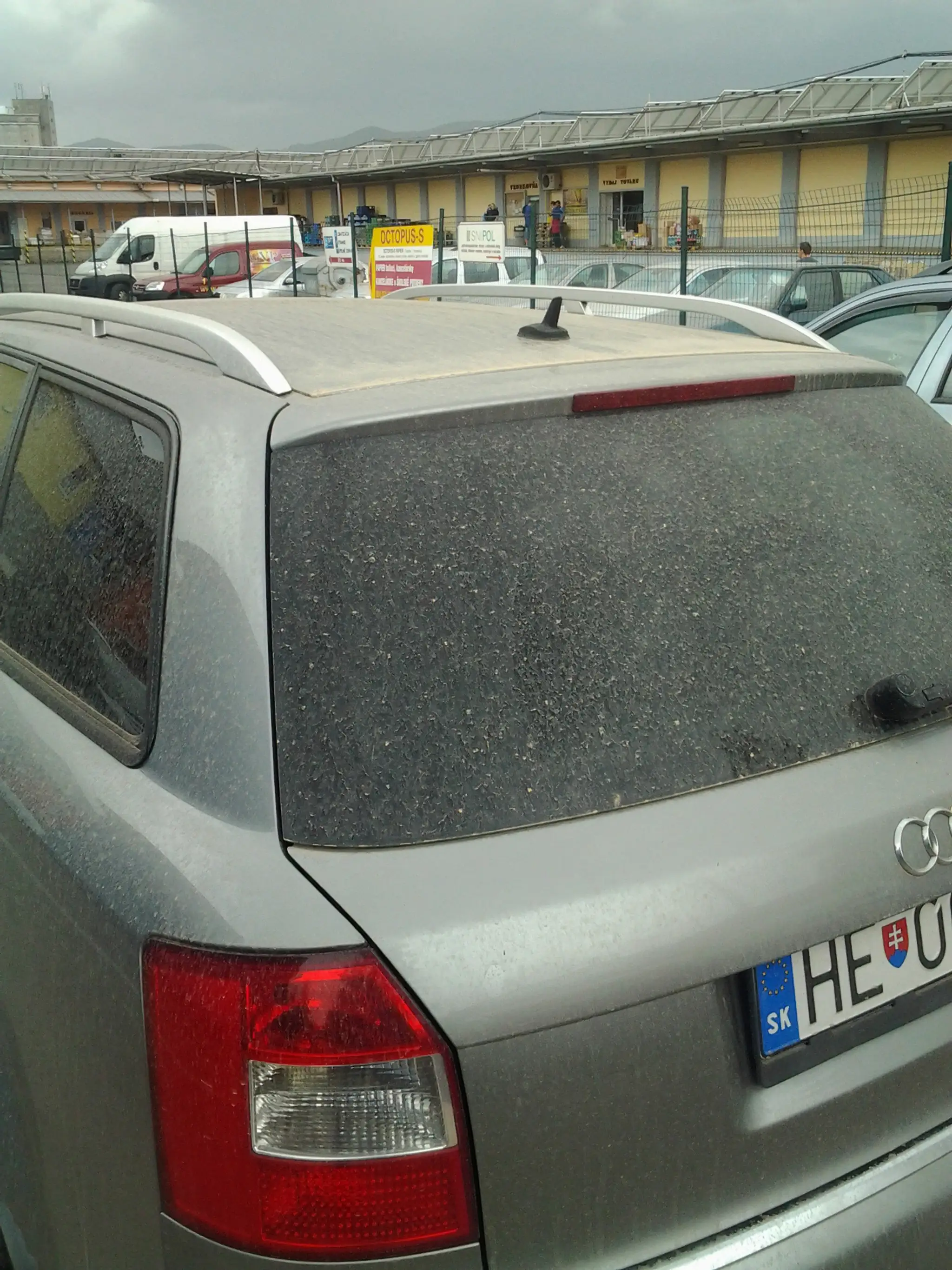 CQ9C.auto_s_pieskom_zo_sahary.jpg