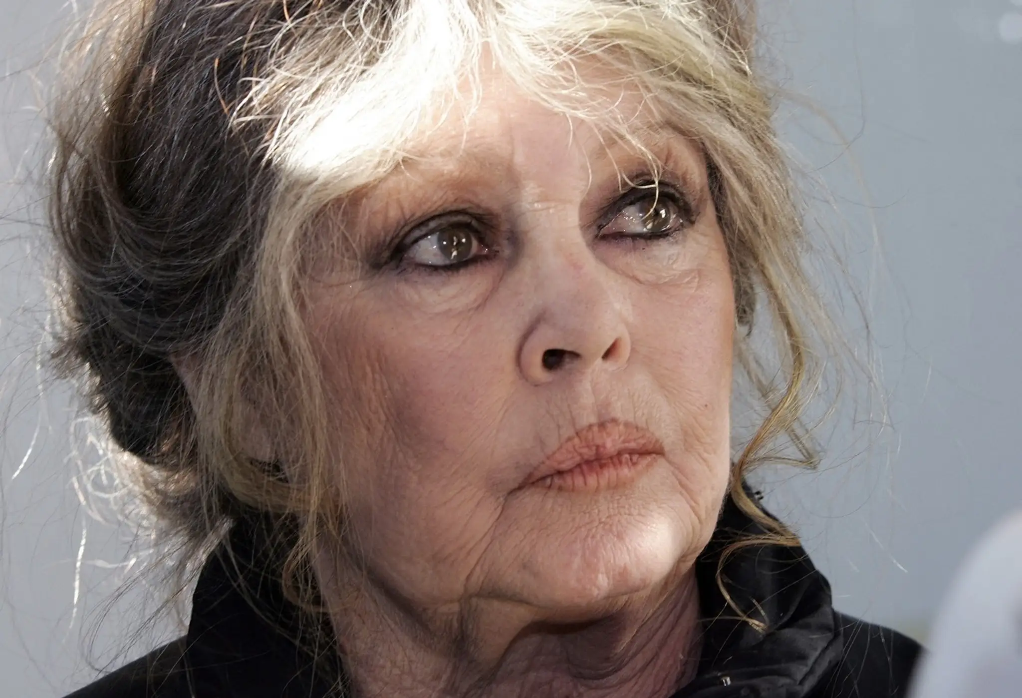 Brigitte Bardot