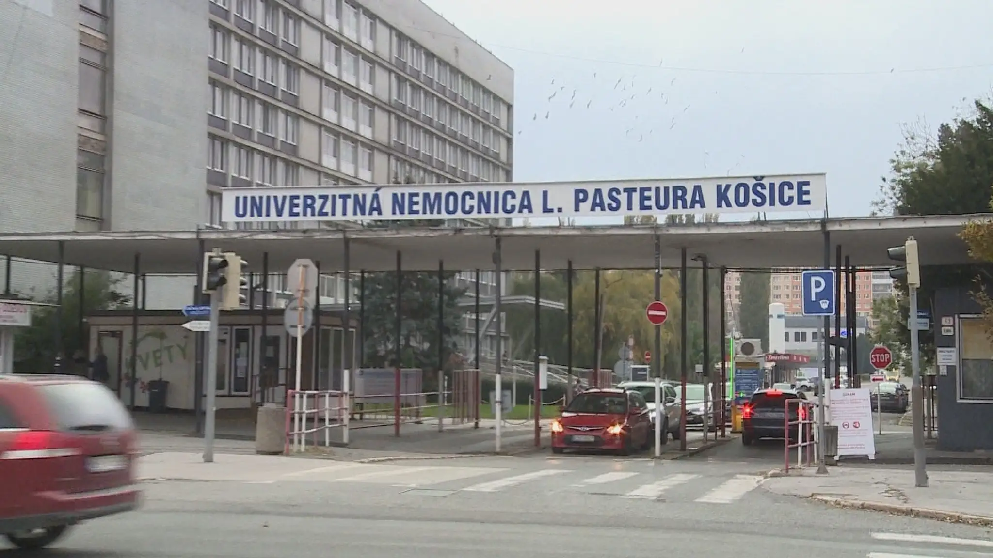 Kontajnerové medvede.