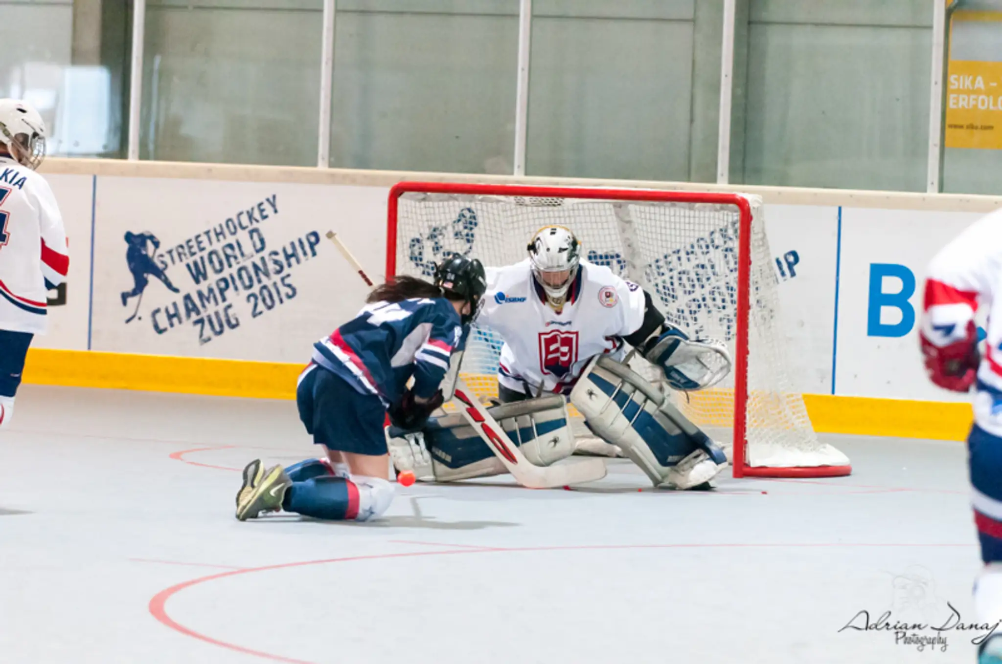 Zápas na MS v hokejbale - ženy: Slovensko - USA.