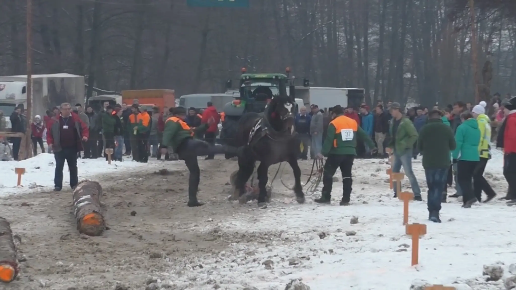 Furmani kopali koňa