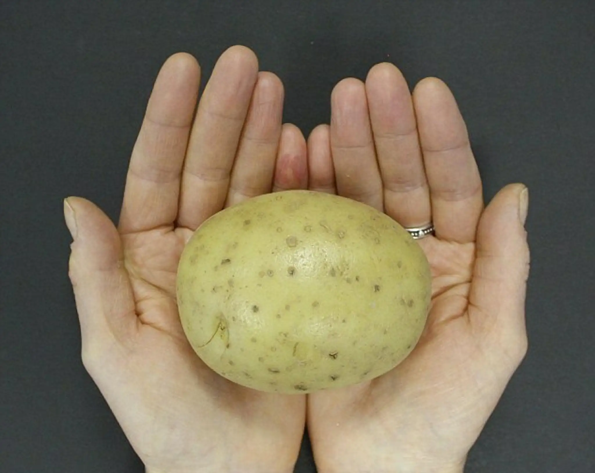 3395237E00000578-3559914-A_portion_of_potatoes_should_be_235g_with_172_calories_per_porti-a-4_1461827867754.jpg