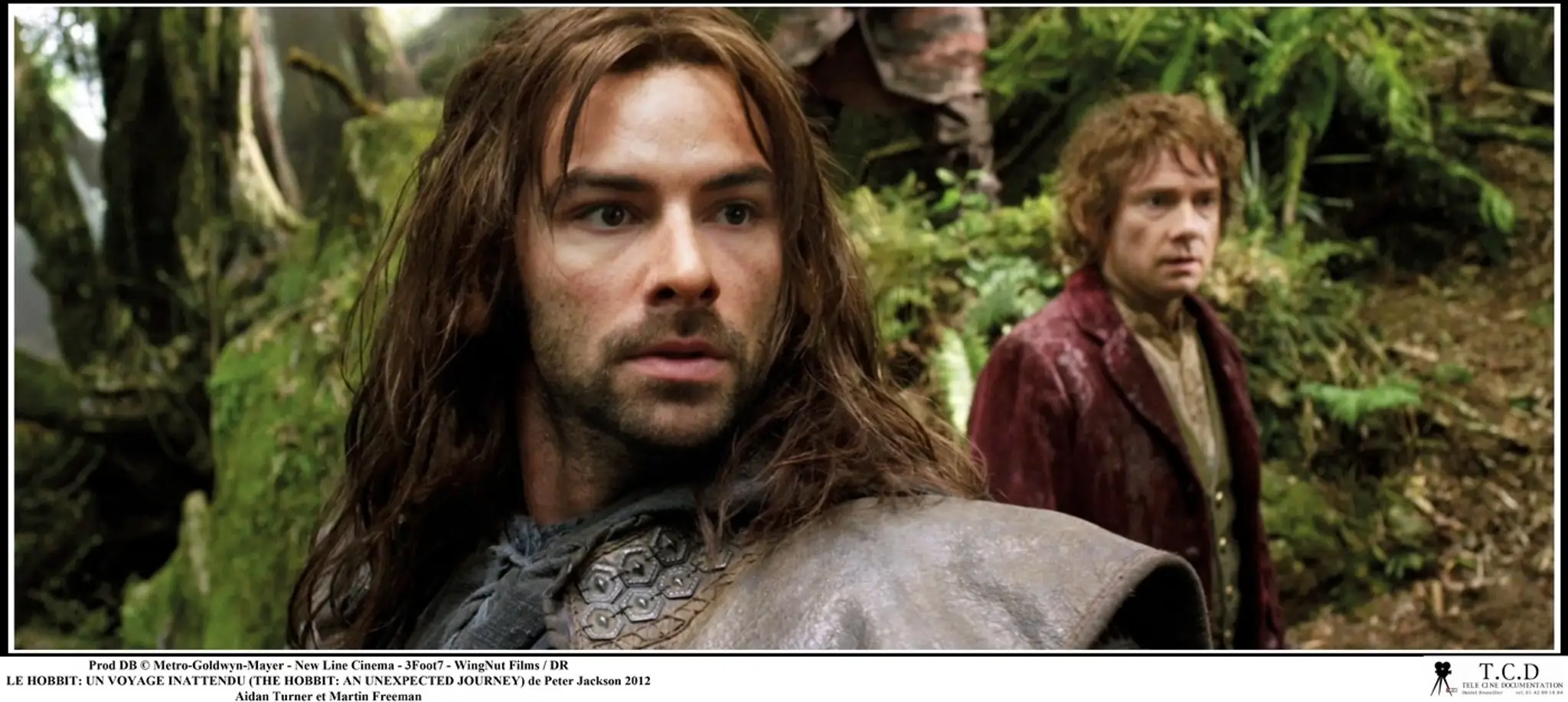 Kili.jpg