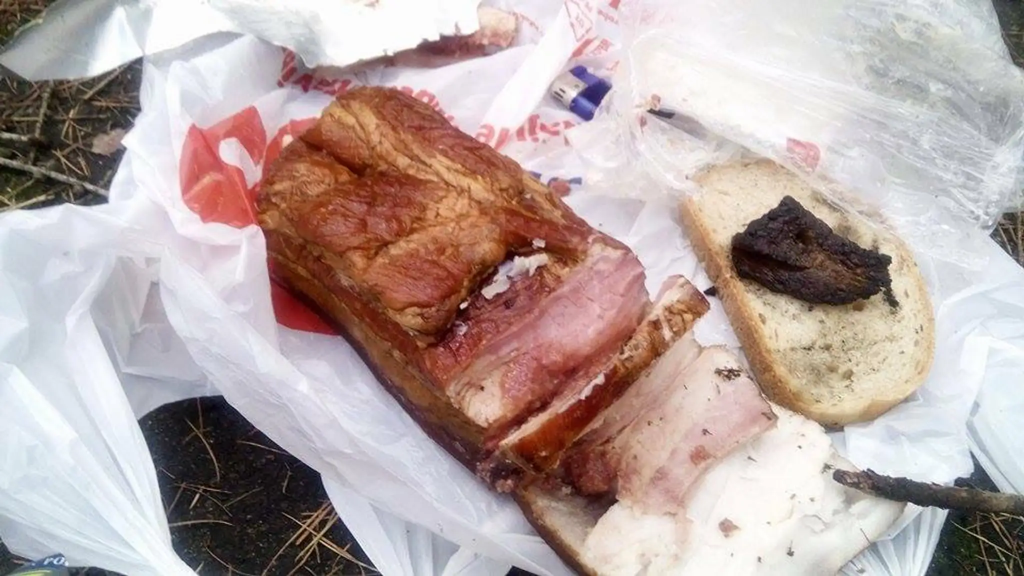 Poškodená slanina