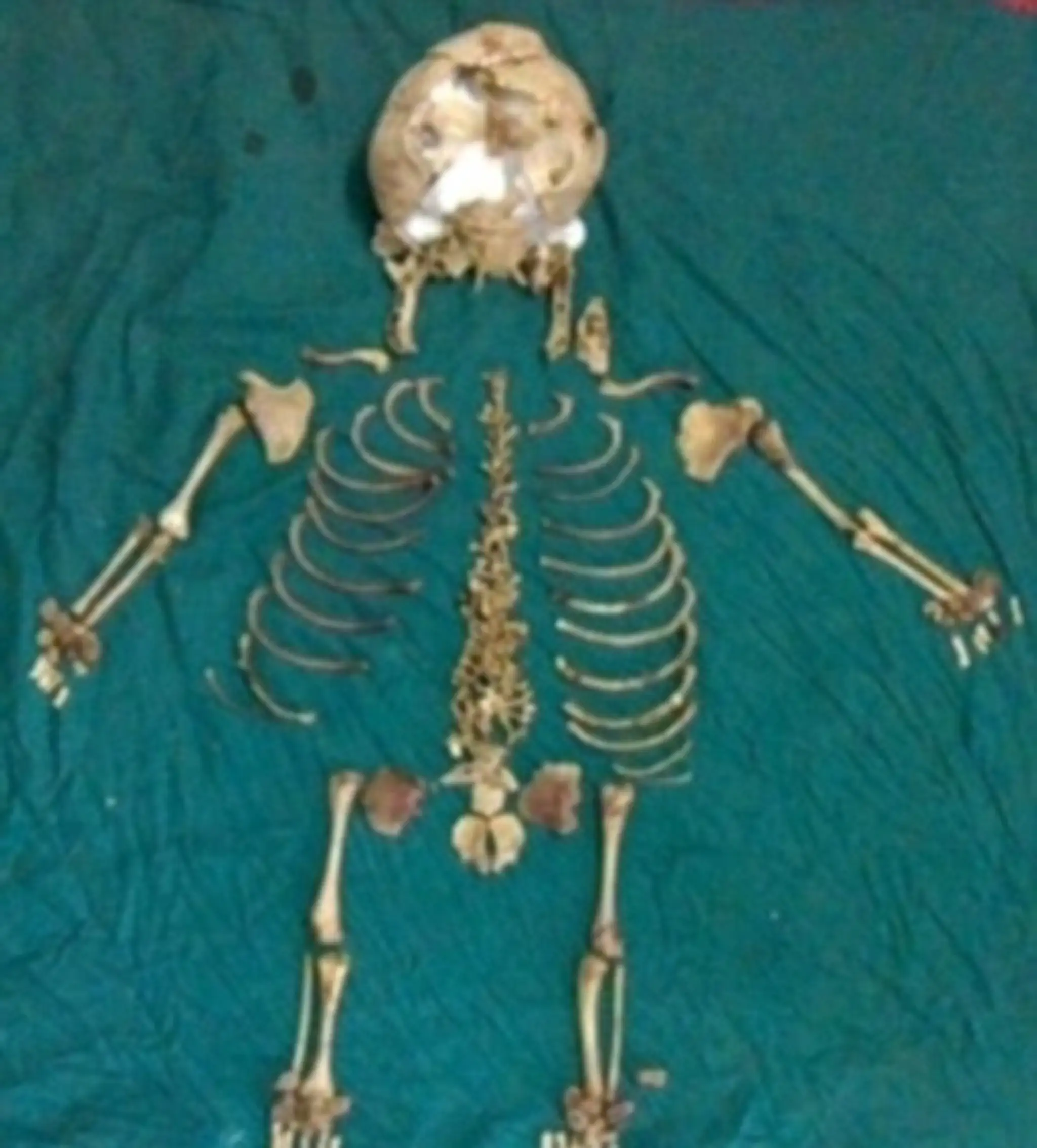 kostra1.jpg