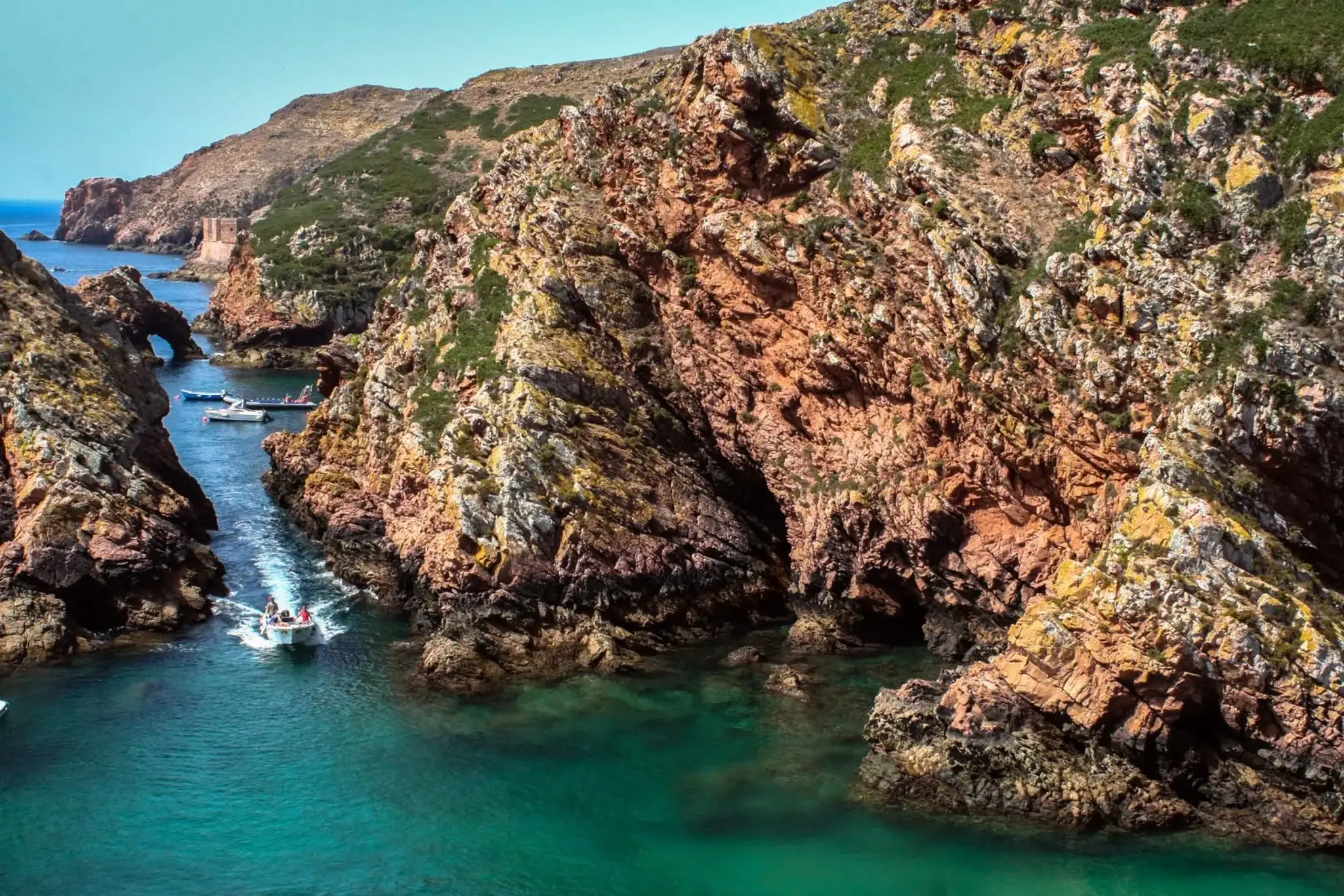 Berlengas.