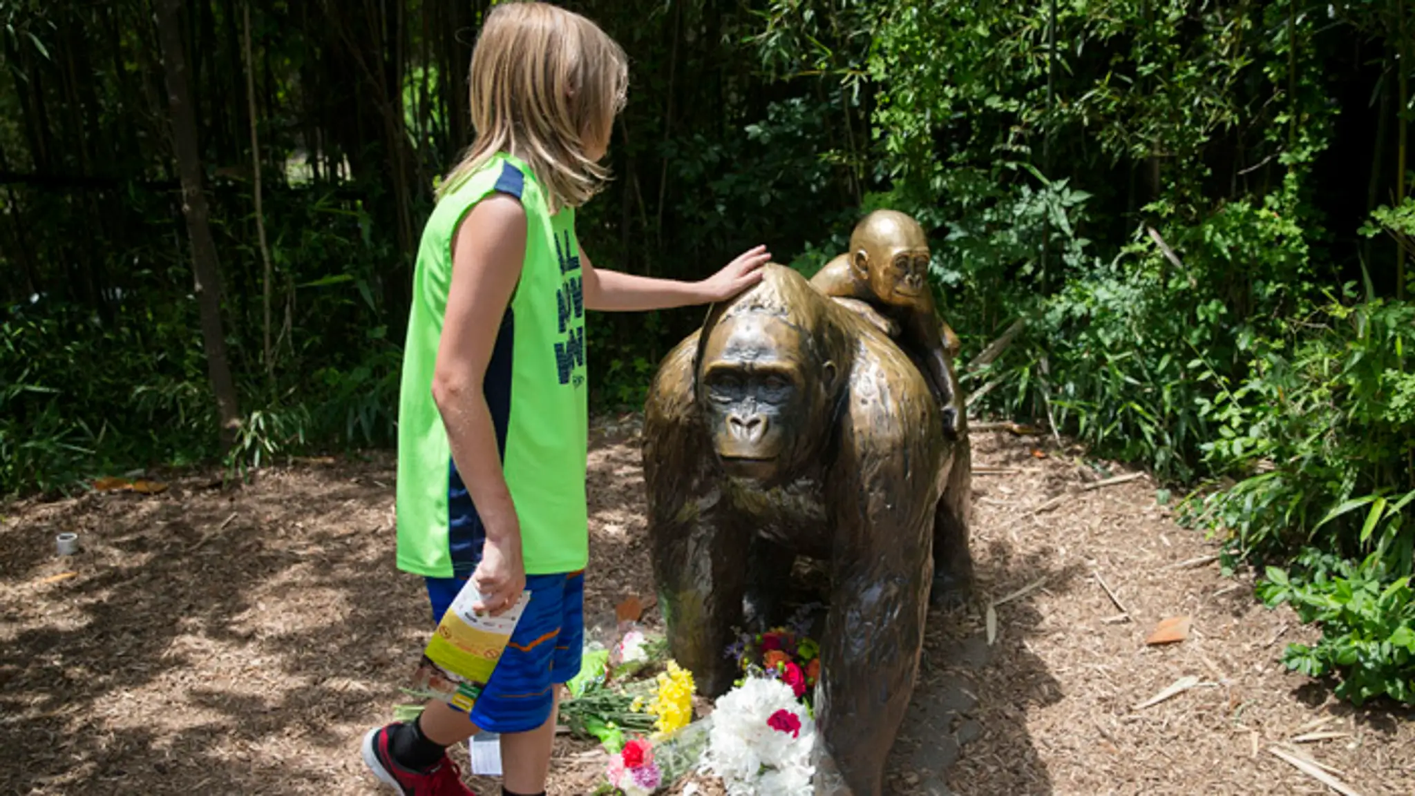 Dieťa sa dotýka sochy gorily v zoologickej záhrade mesta Cincinnati.