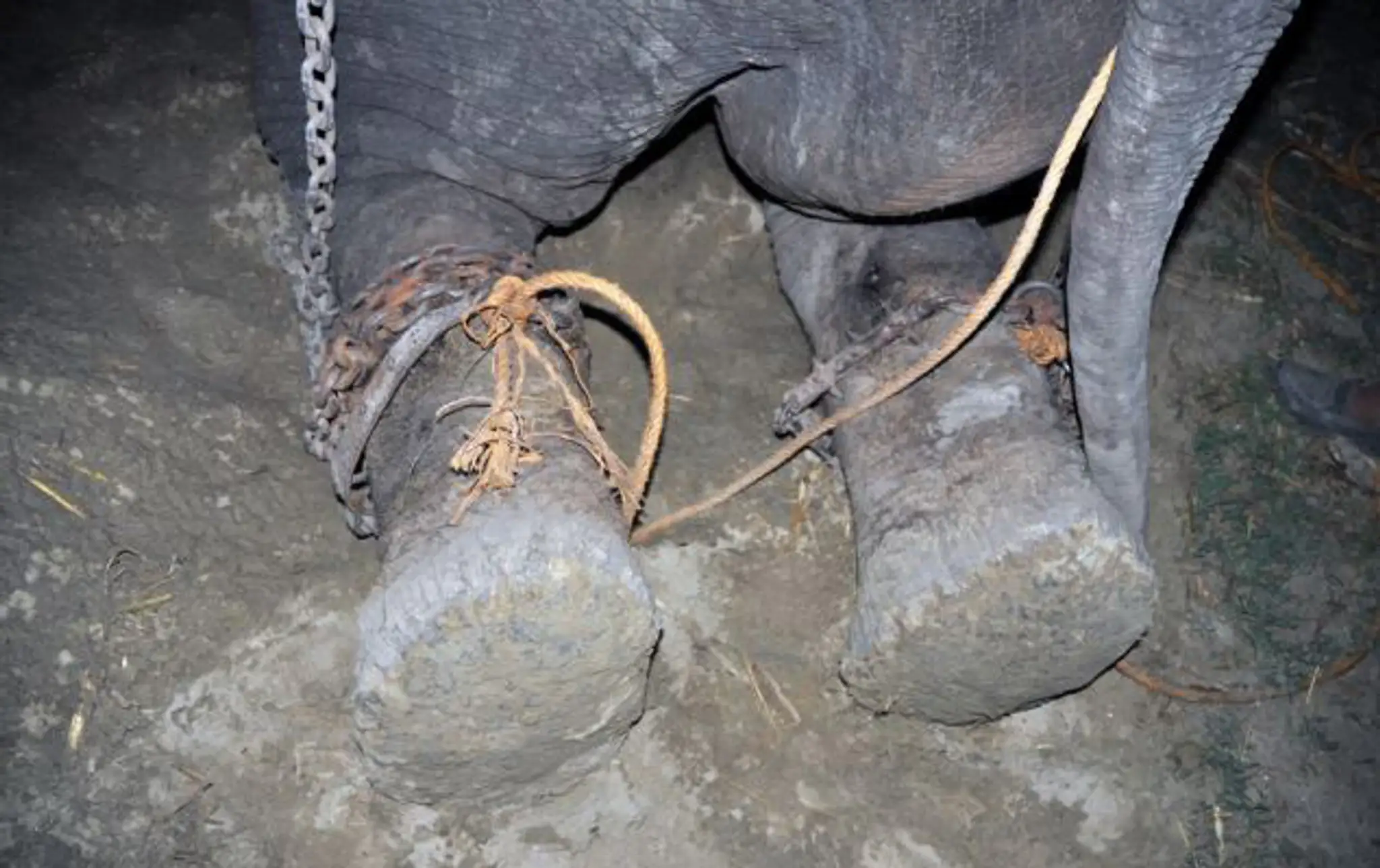 raju3.jpg