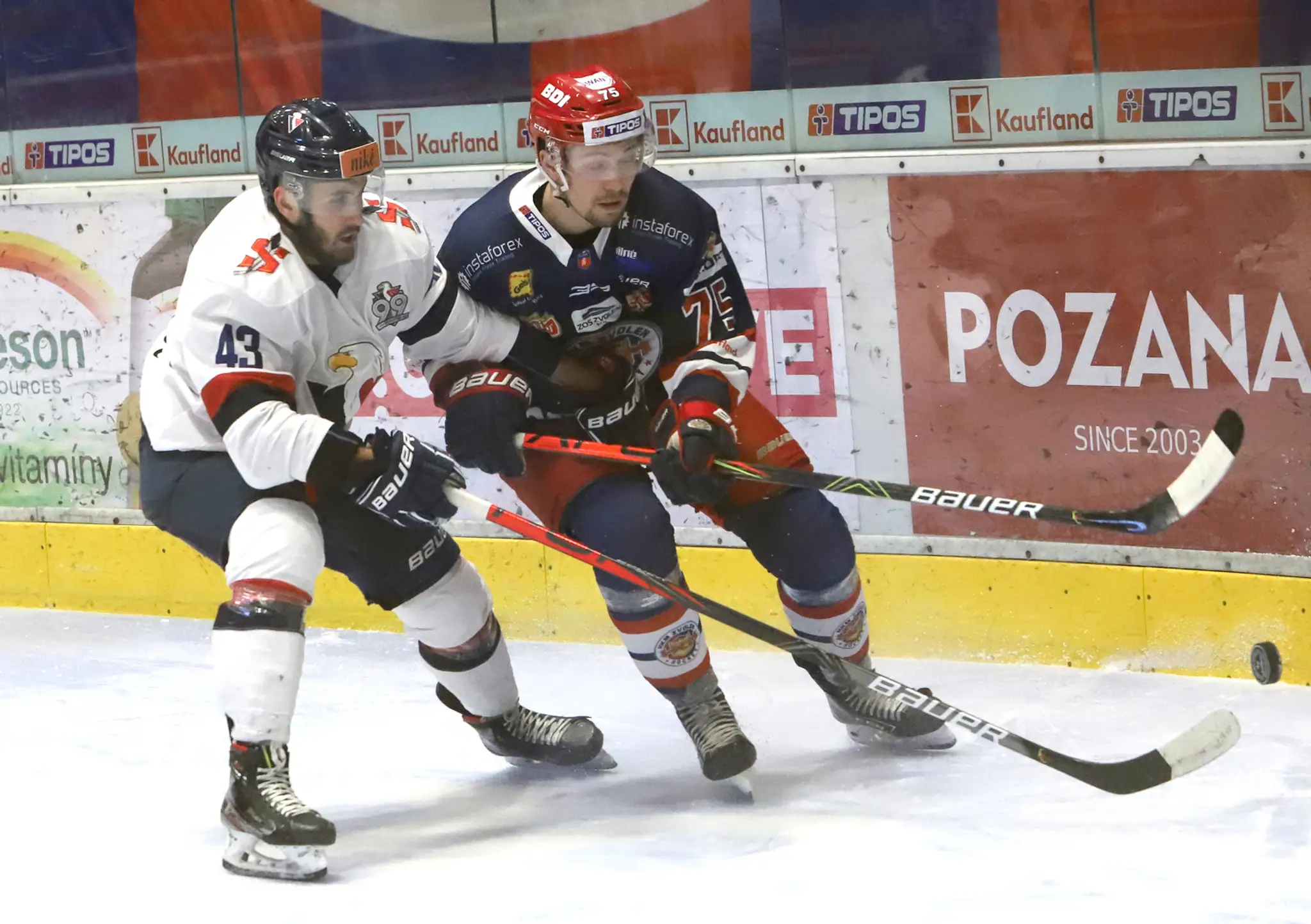 HKM Zvolen – HC Slovan Bratislava 