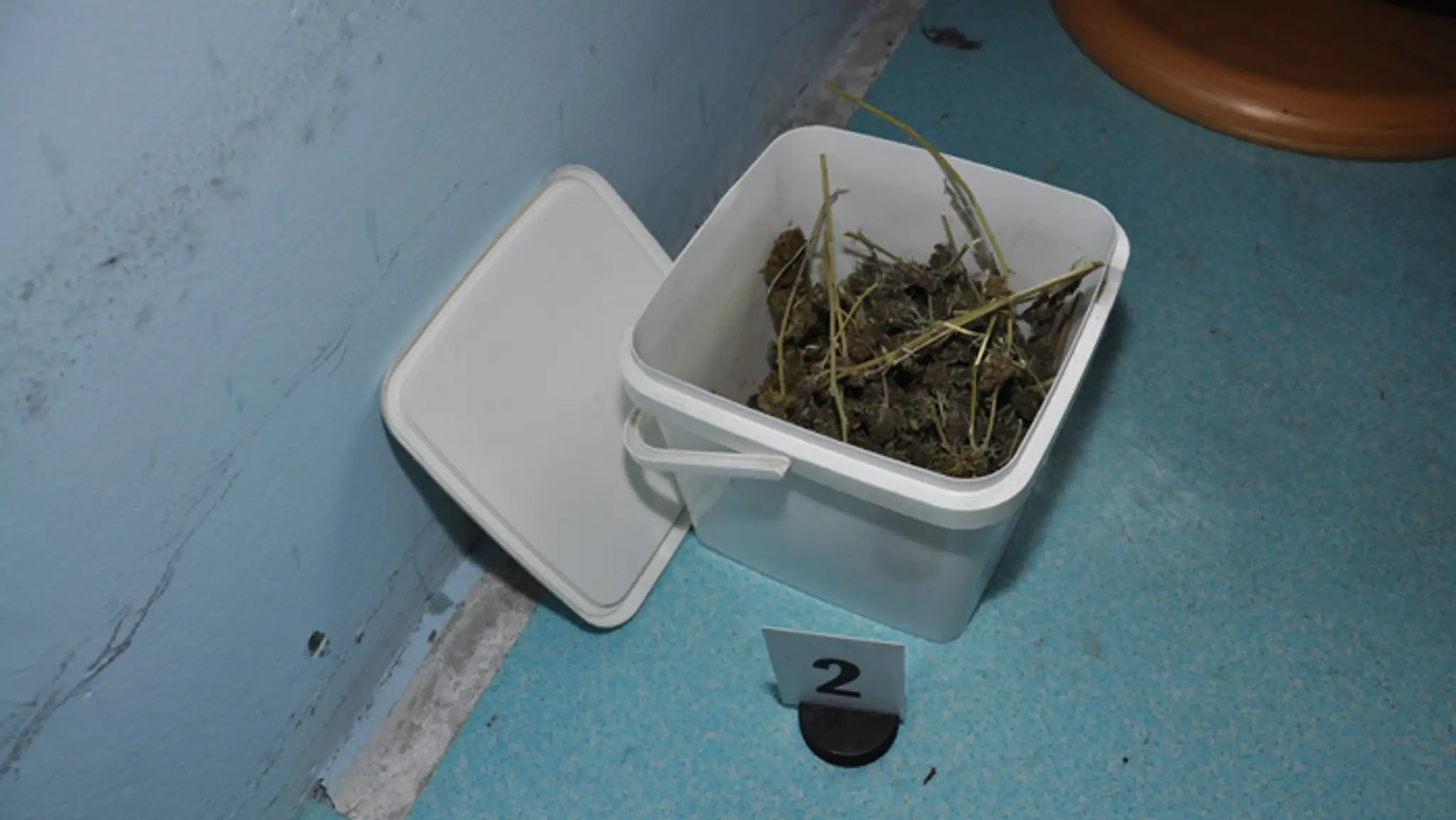 Nájdená marihuana v dome v Tešedíkove.