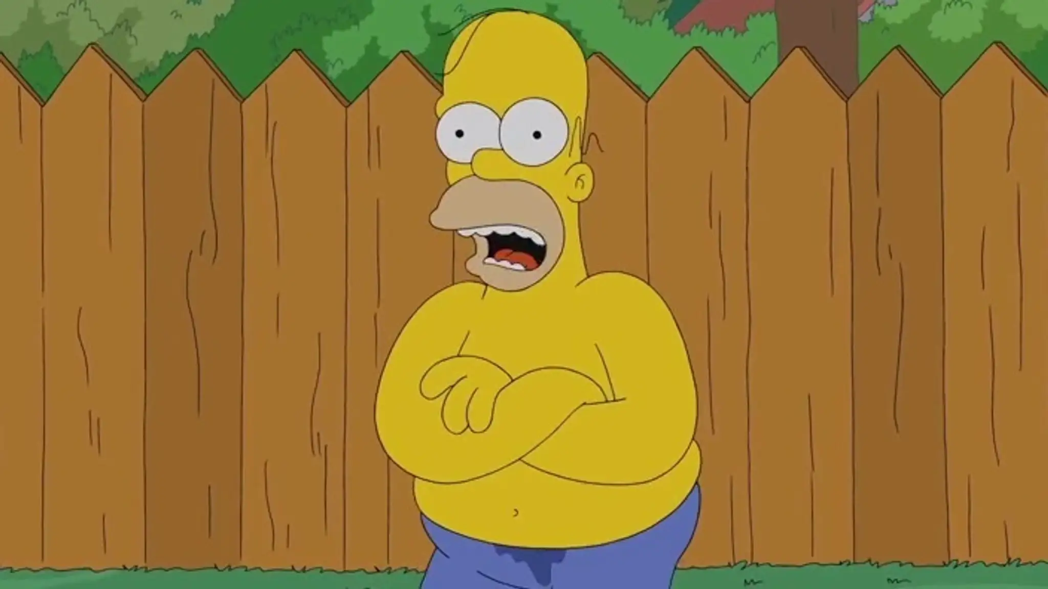 homer.jpg