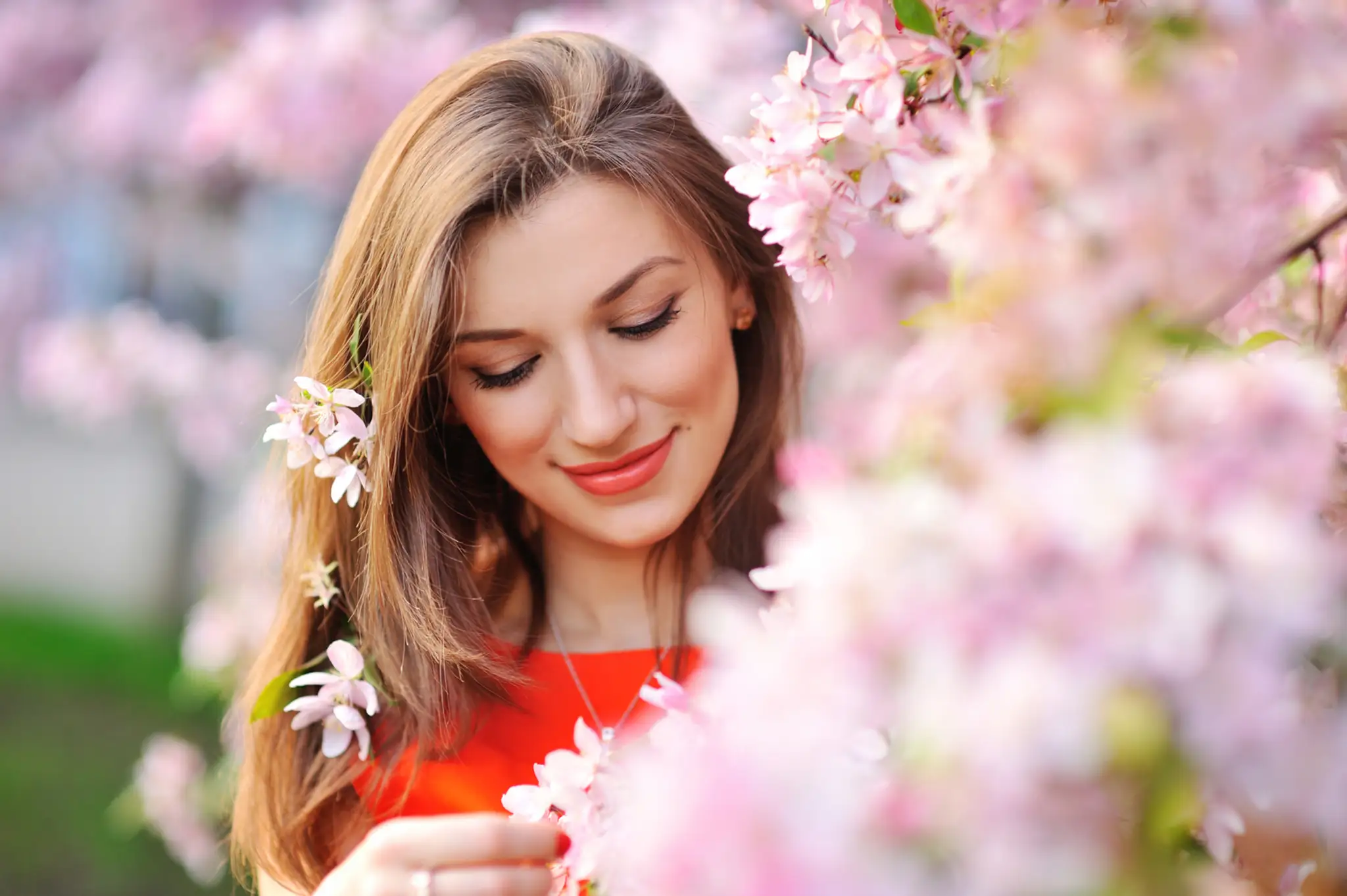 shutterstock_140488357.jpg