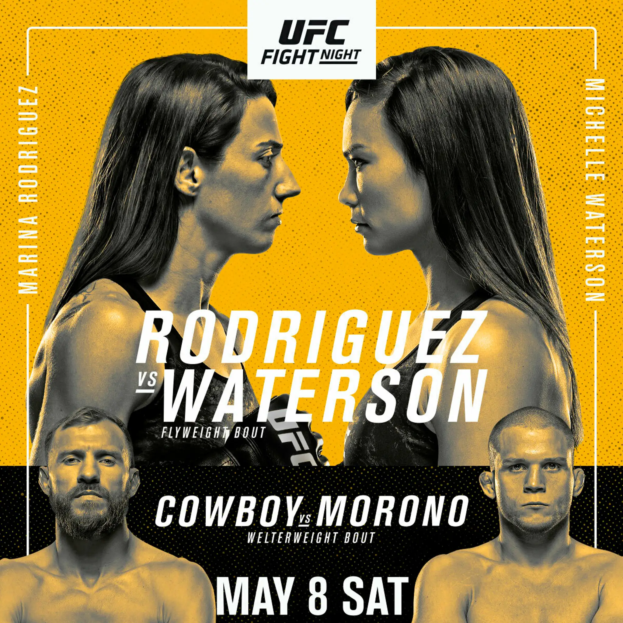 UFC fight night