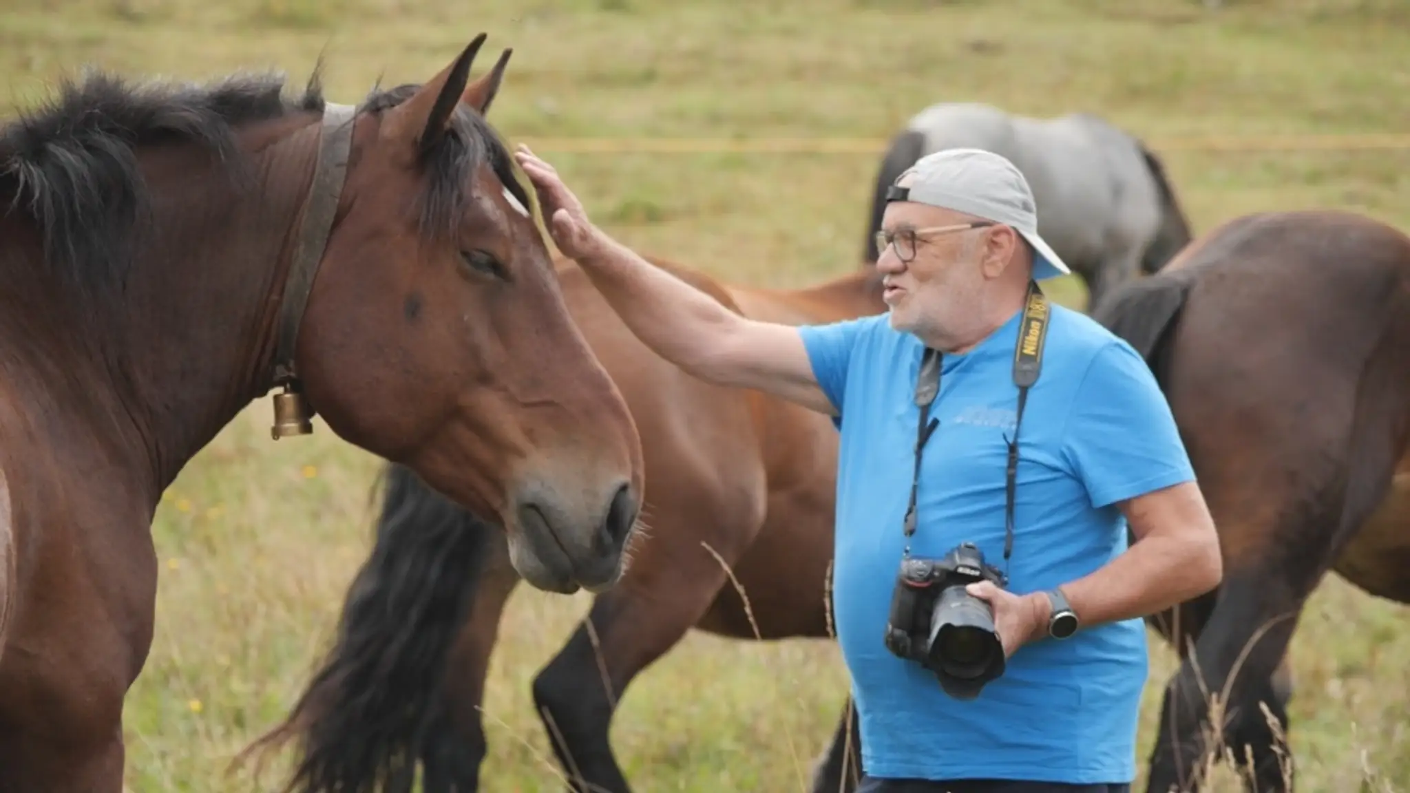 Fotograf koní Vladimír Hurajt
