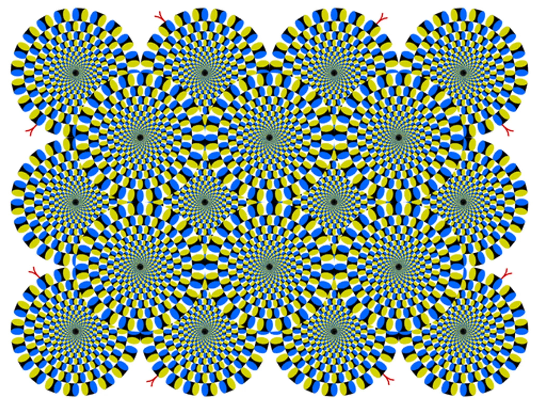 iluzia7.png
