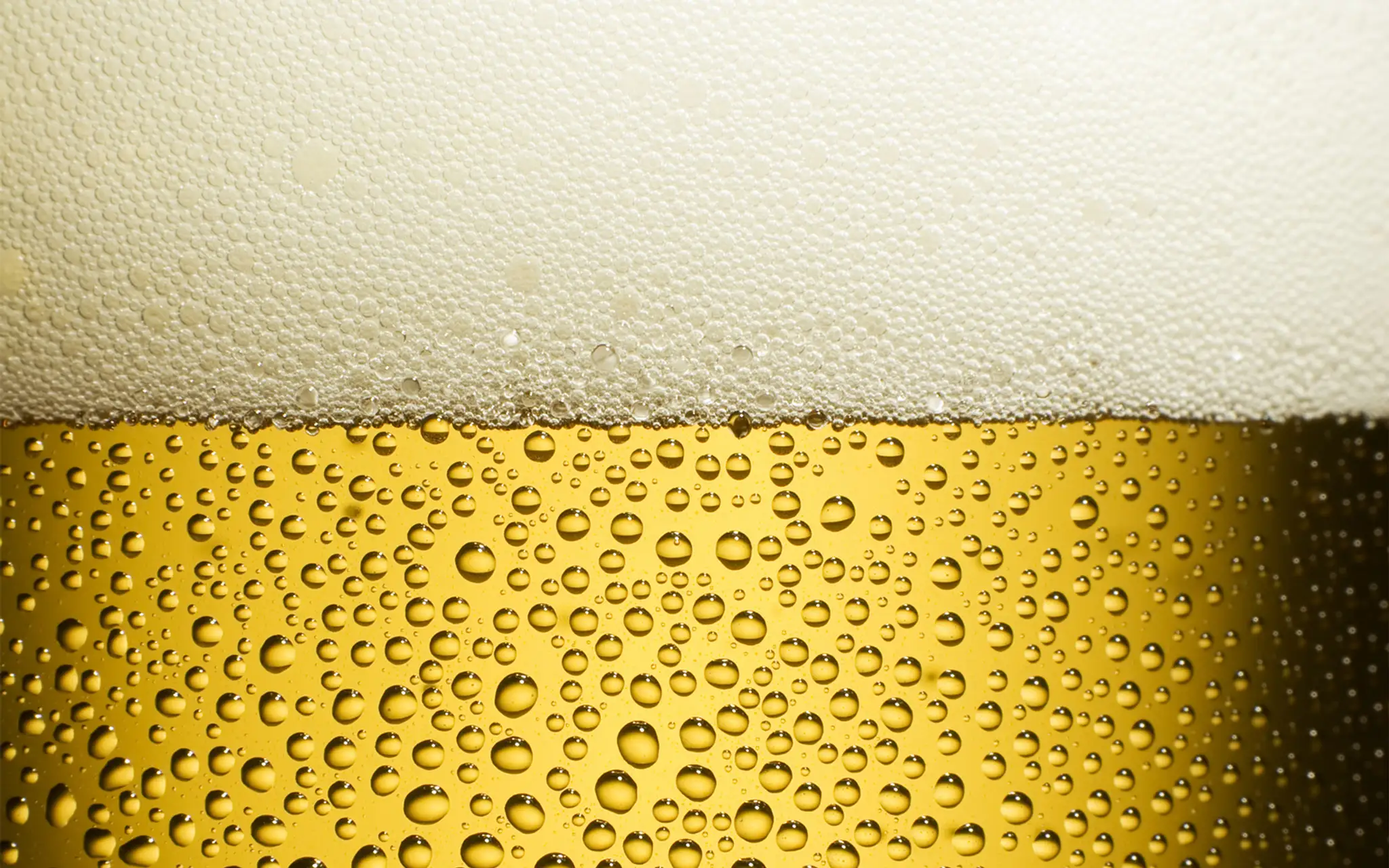 pivo.jpg