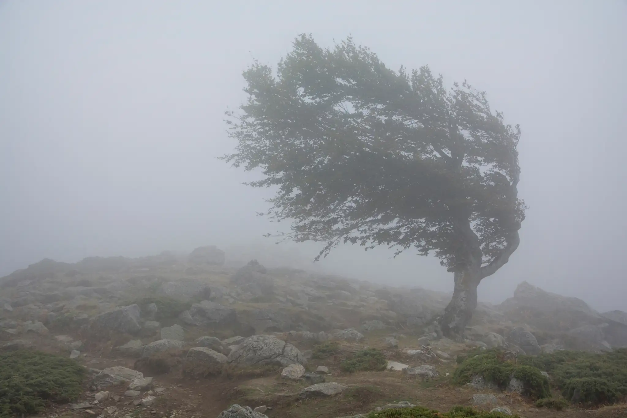 Ilustračná snímka