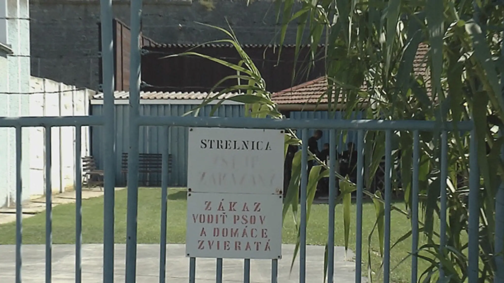 Uhynuté mláďa kamzíka na Chopku.