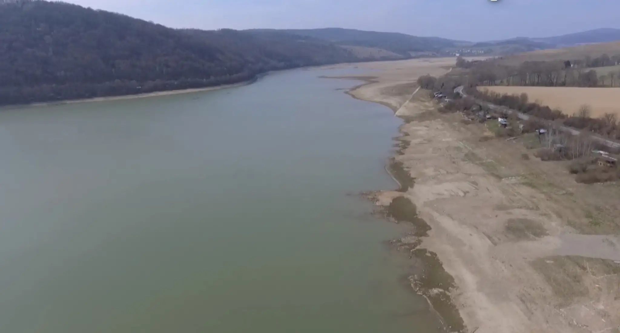 Divoká Romana