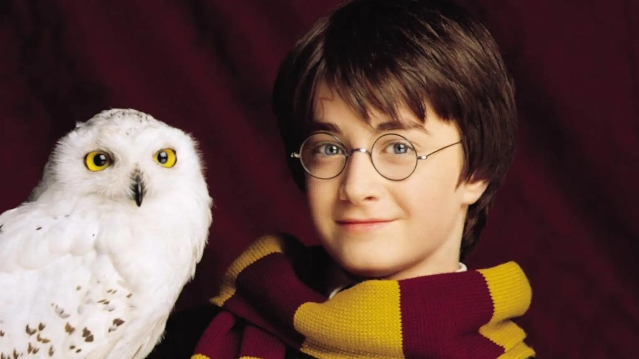 Harry Potter