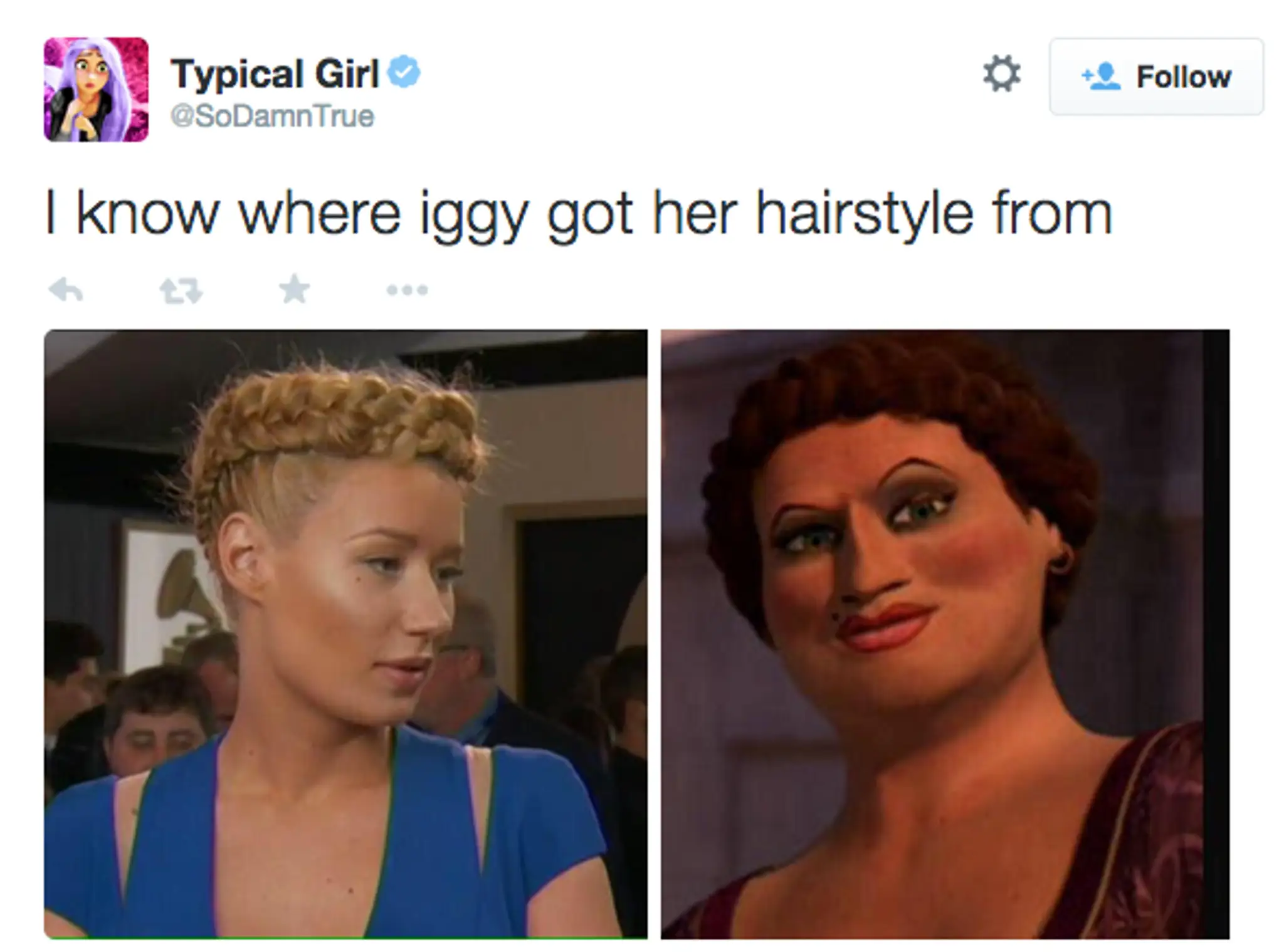 iggy6.png