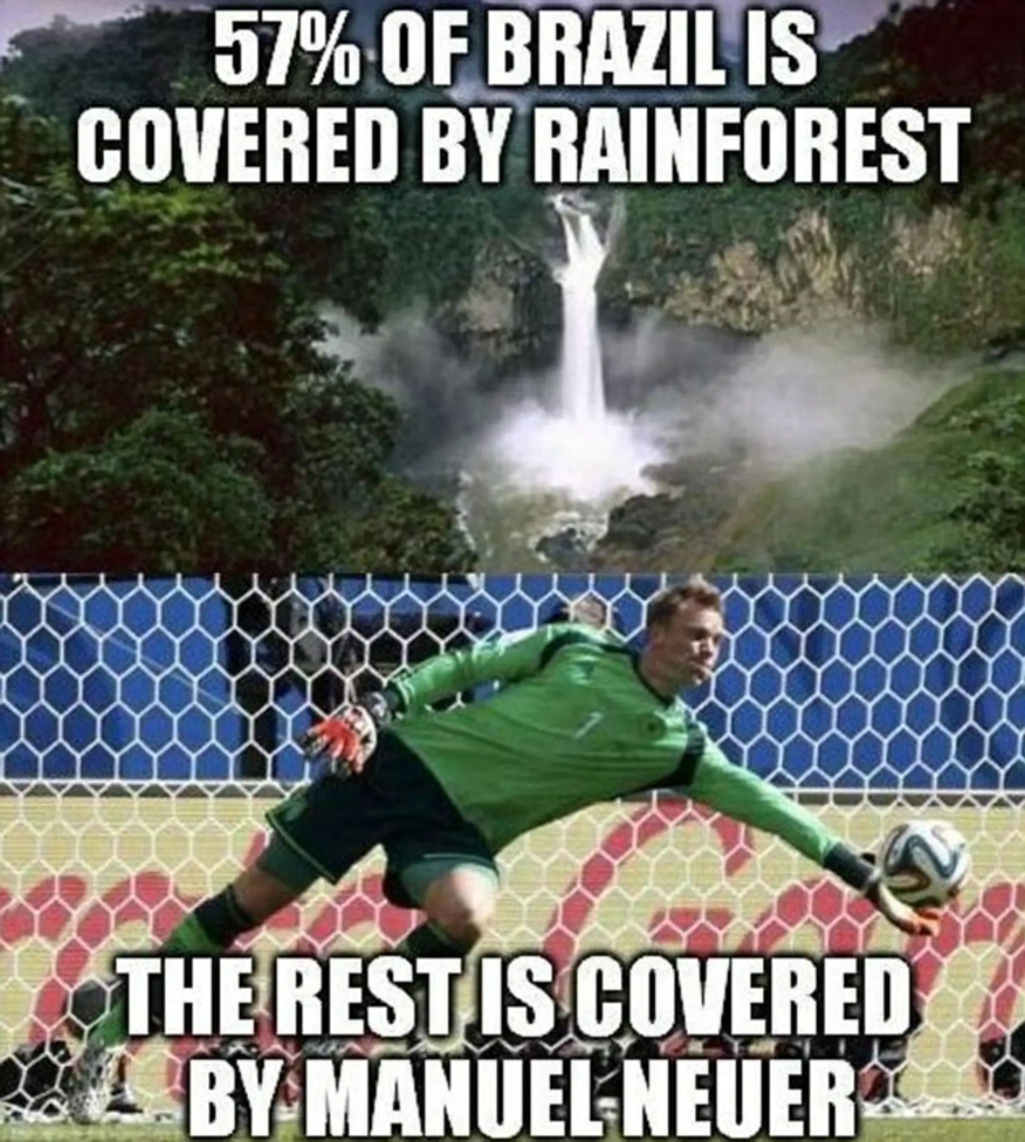 brazil2.jpg