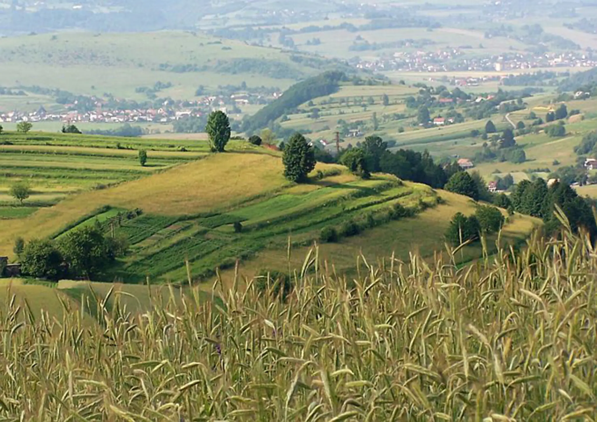 Hriňovské lazy