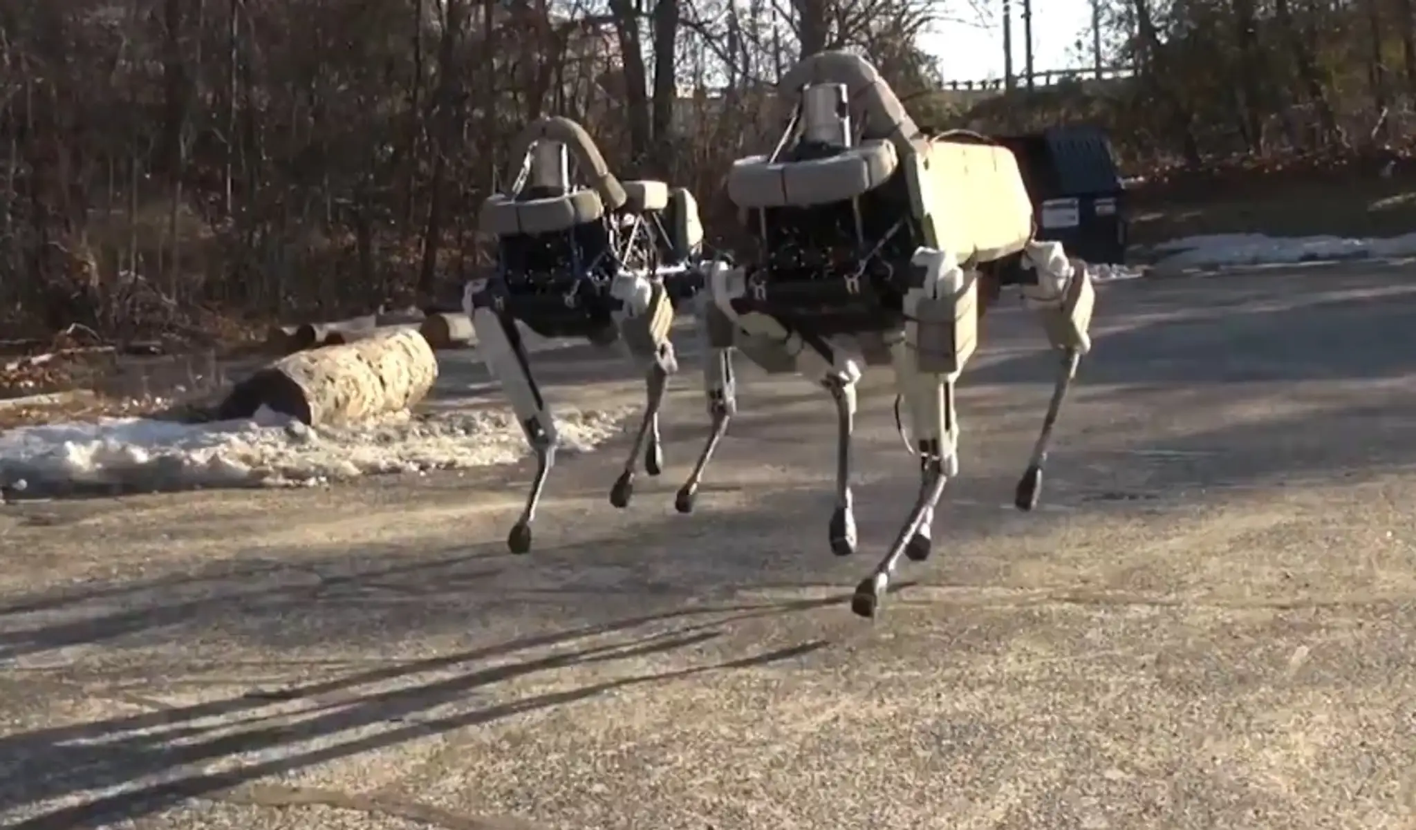 Robotický pes