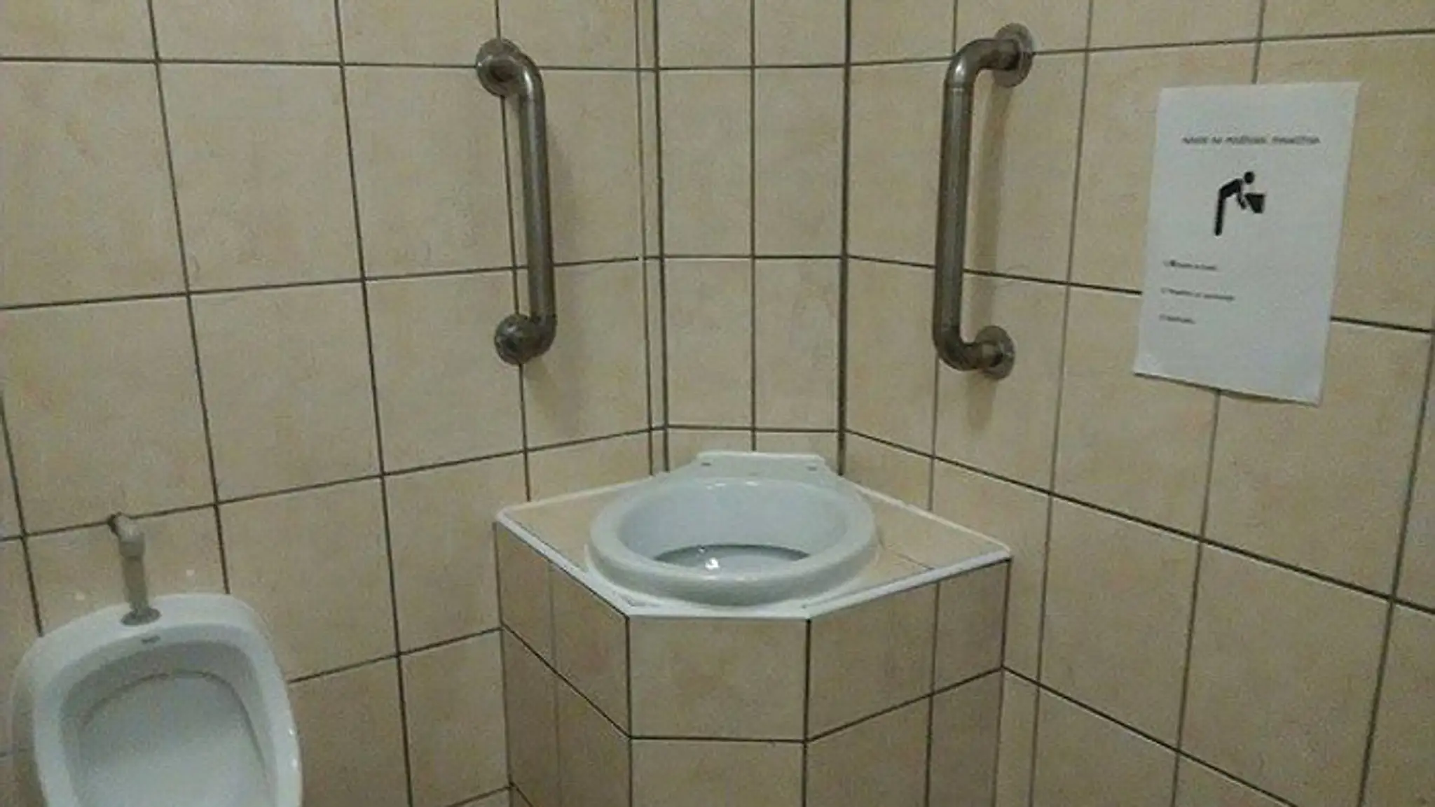 toaleta.jpg