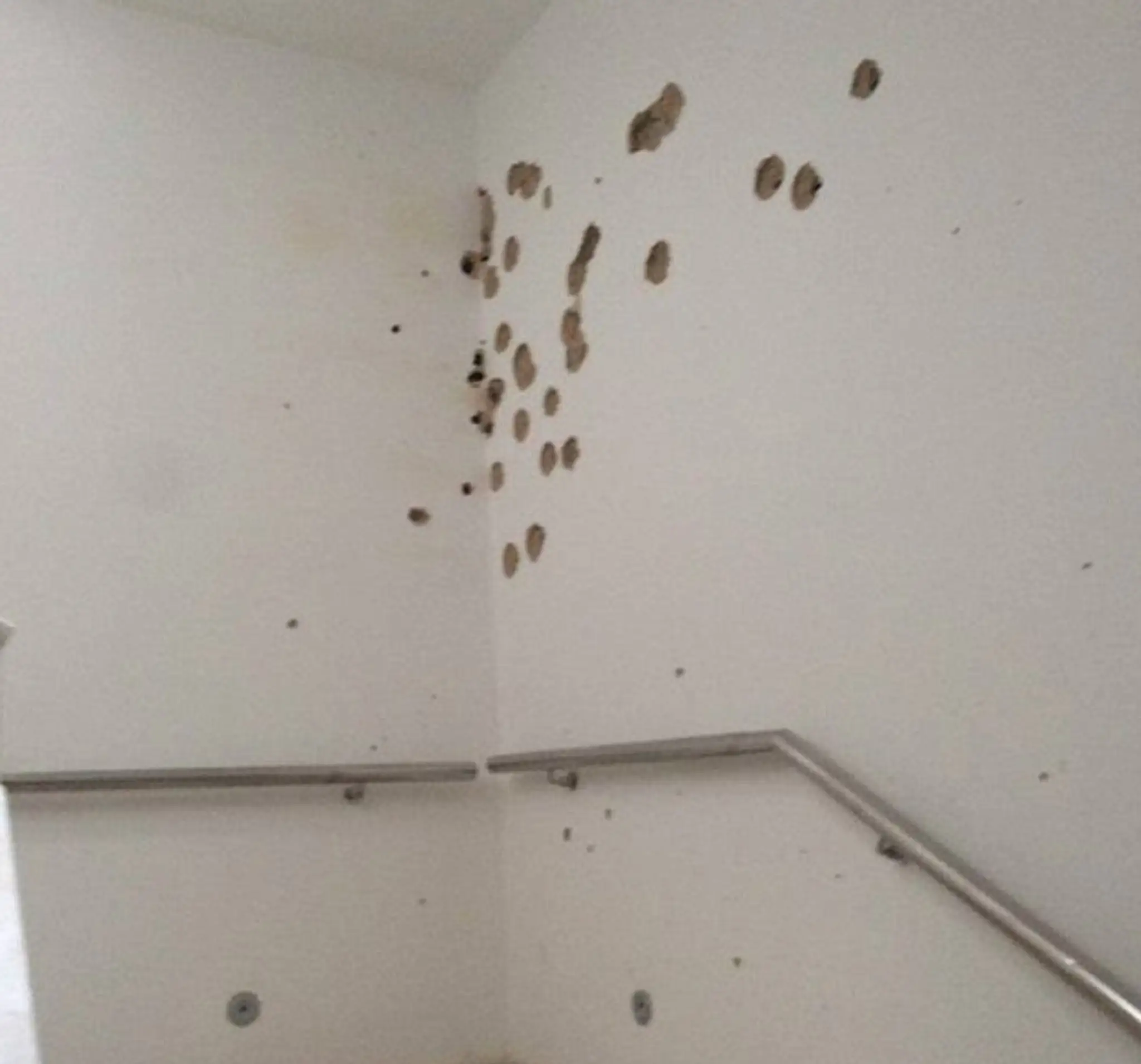 Ozbrojenci použili granáty a samopaly.