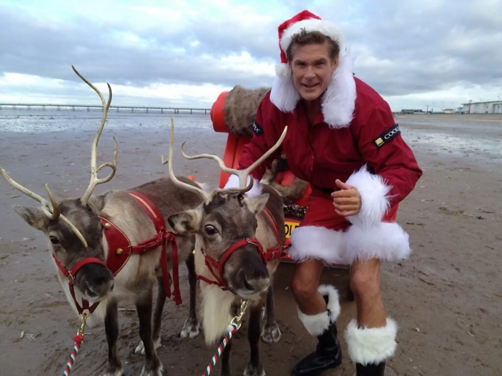 David Hasselhoff