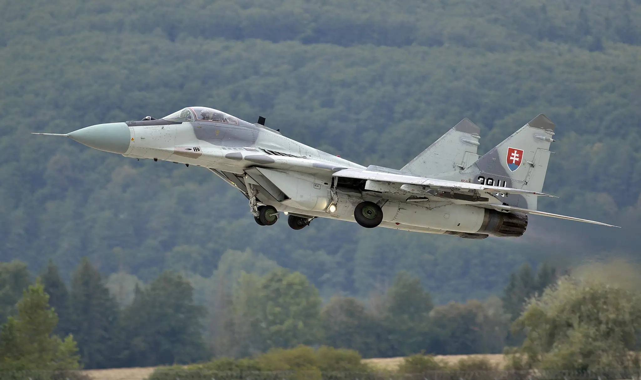 Mig-29AS vzdušných síl.