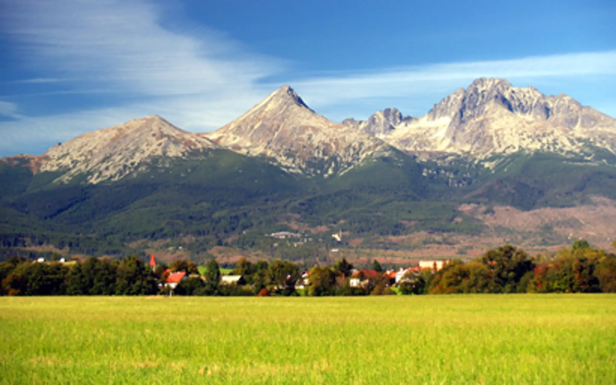 6110_telo17.jpg
