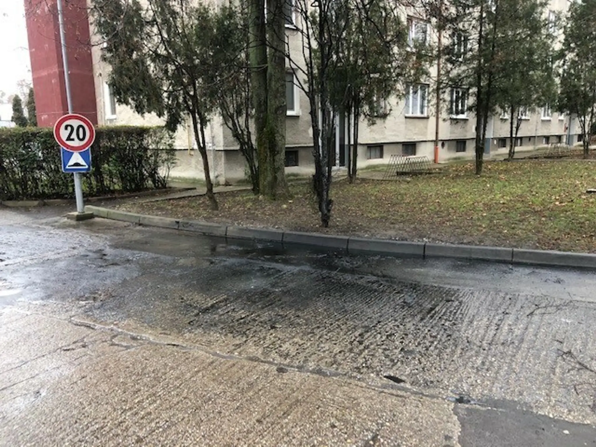 Herci z Pána profesora