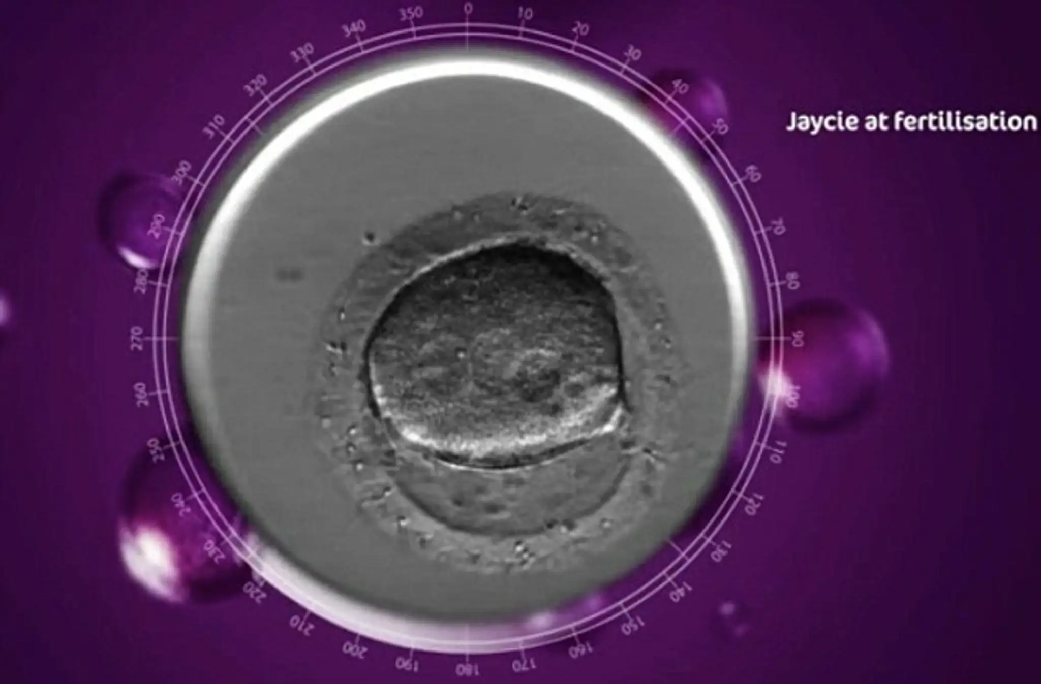 jaycie3.jpg