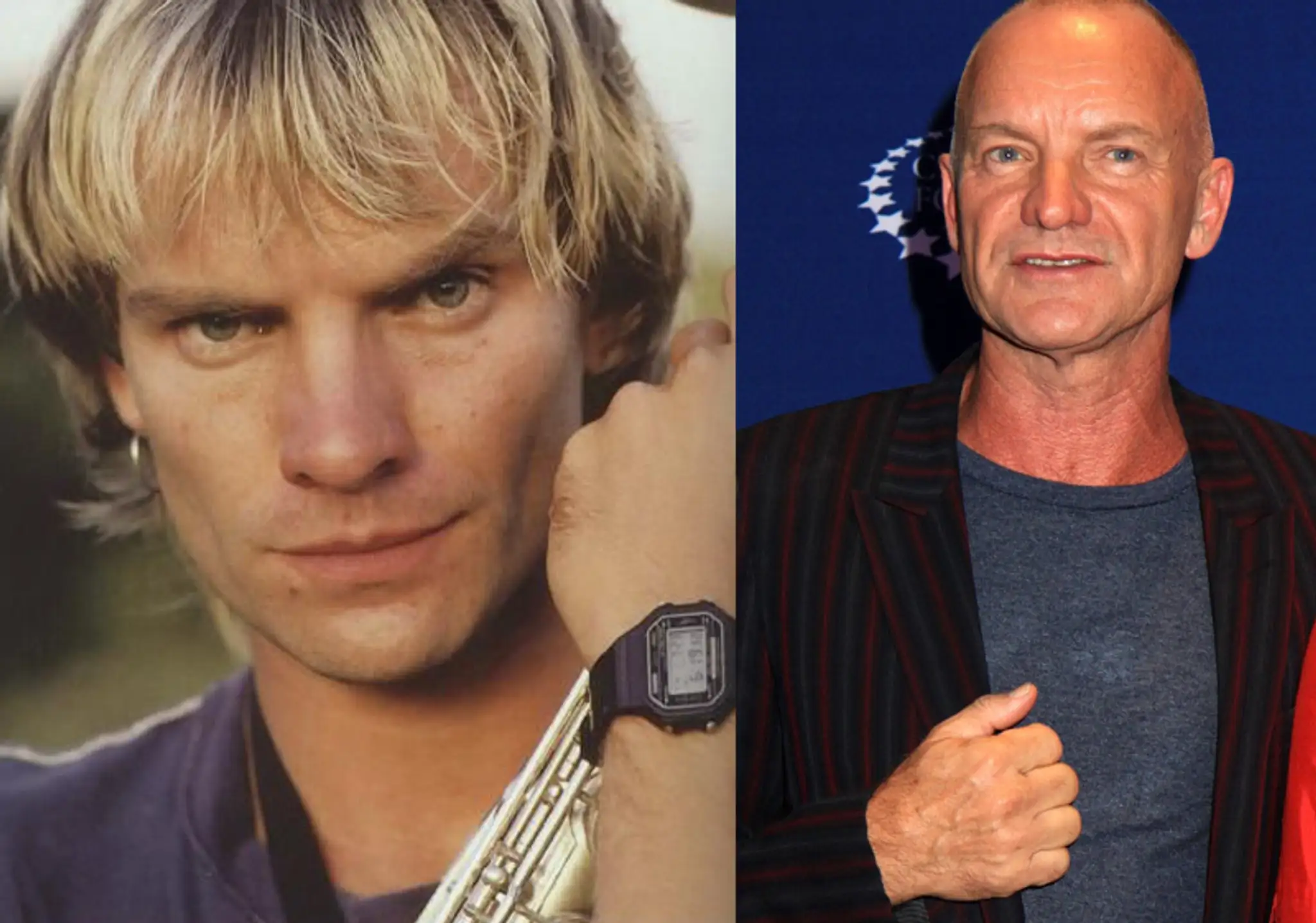 sting2.jpg