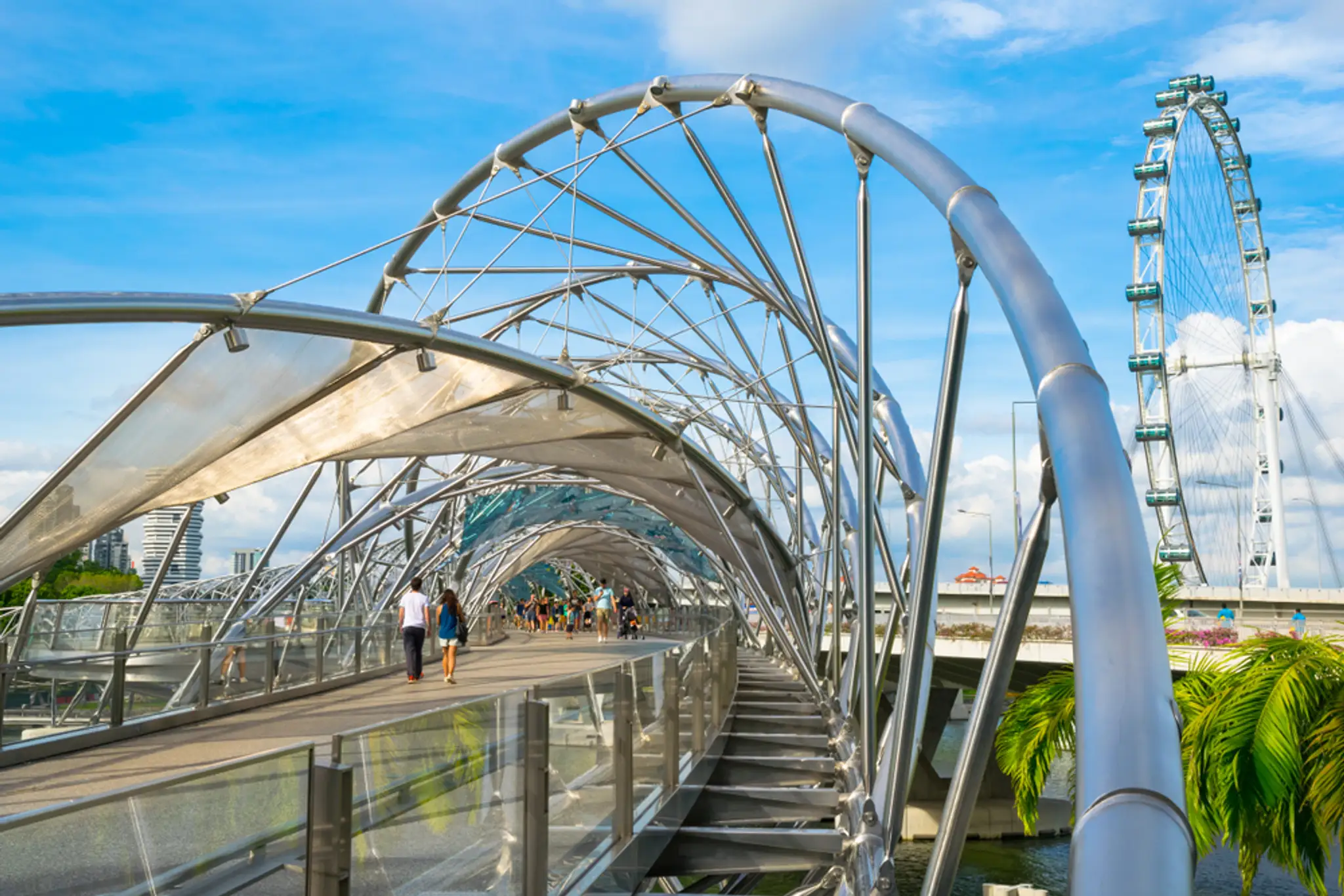 Henderson Waves Bridge (Singapore)