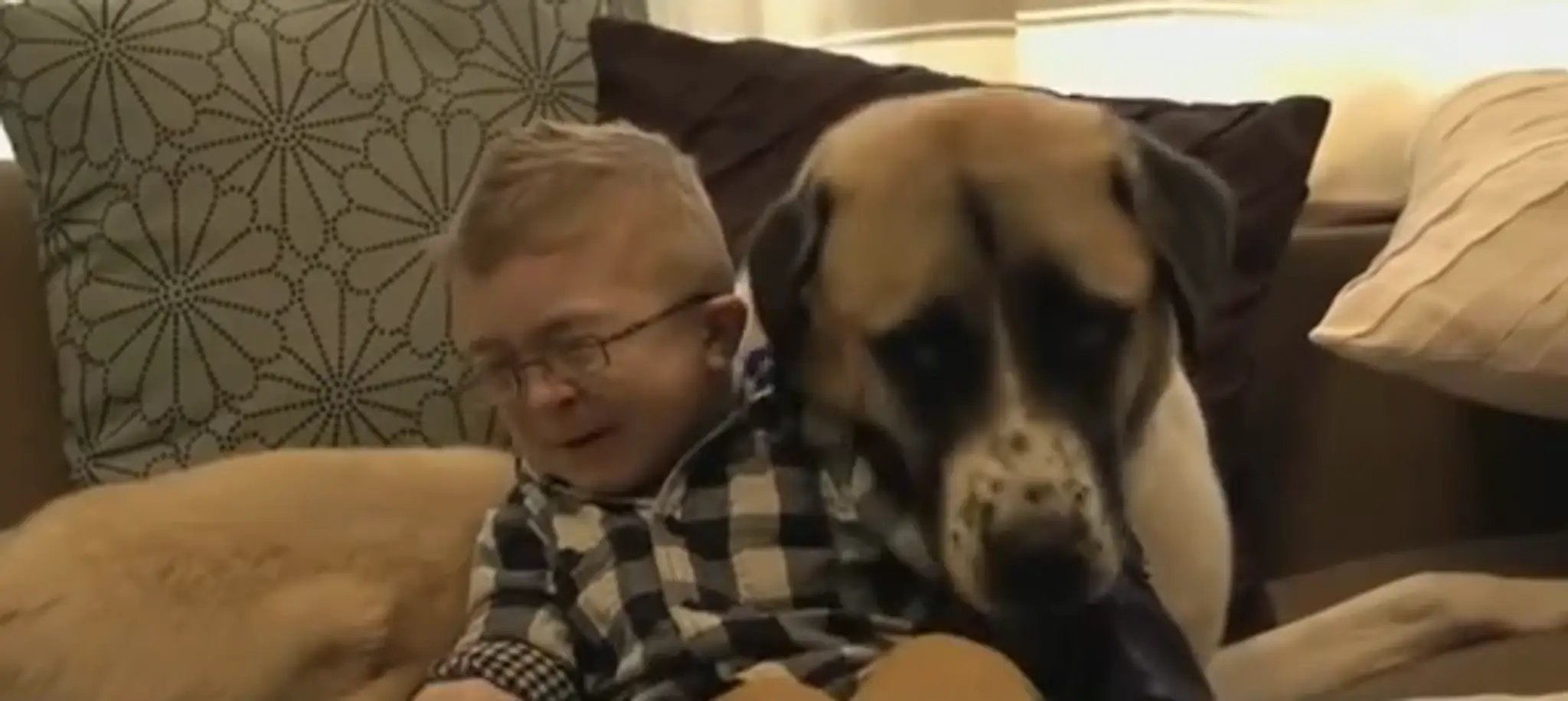 Bez názvu.png