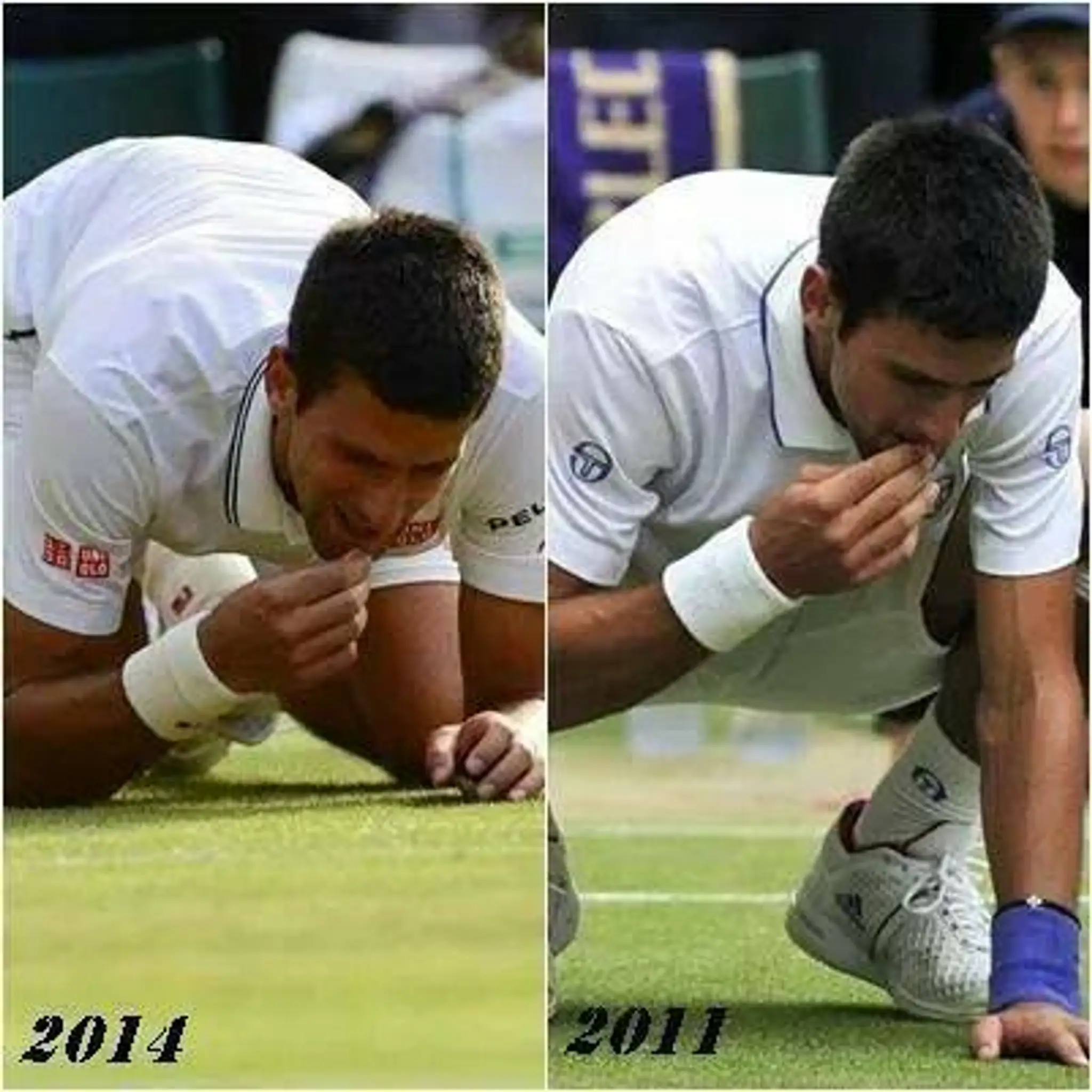 nole.jpg