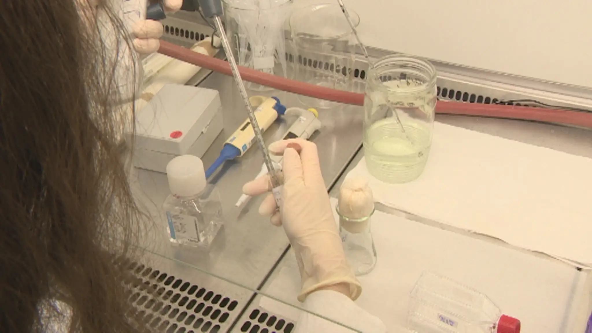 Tisícky vzoriek jedla, potravín, a kuchynských sterov putovalo na rozbory do laboratorií.
