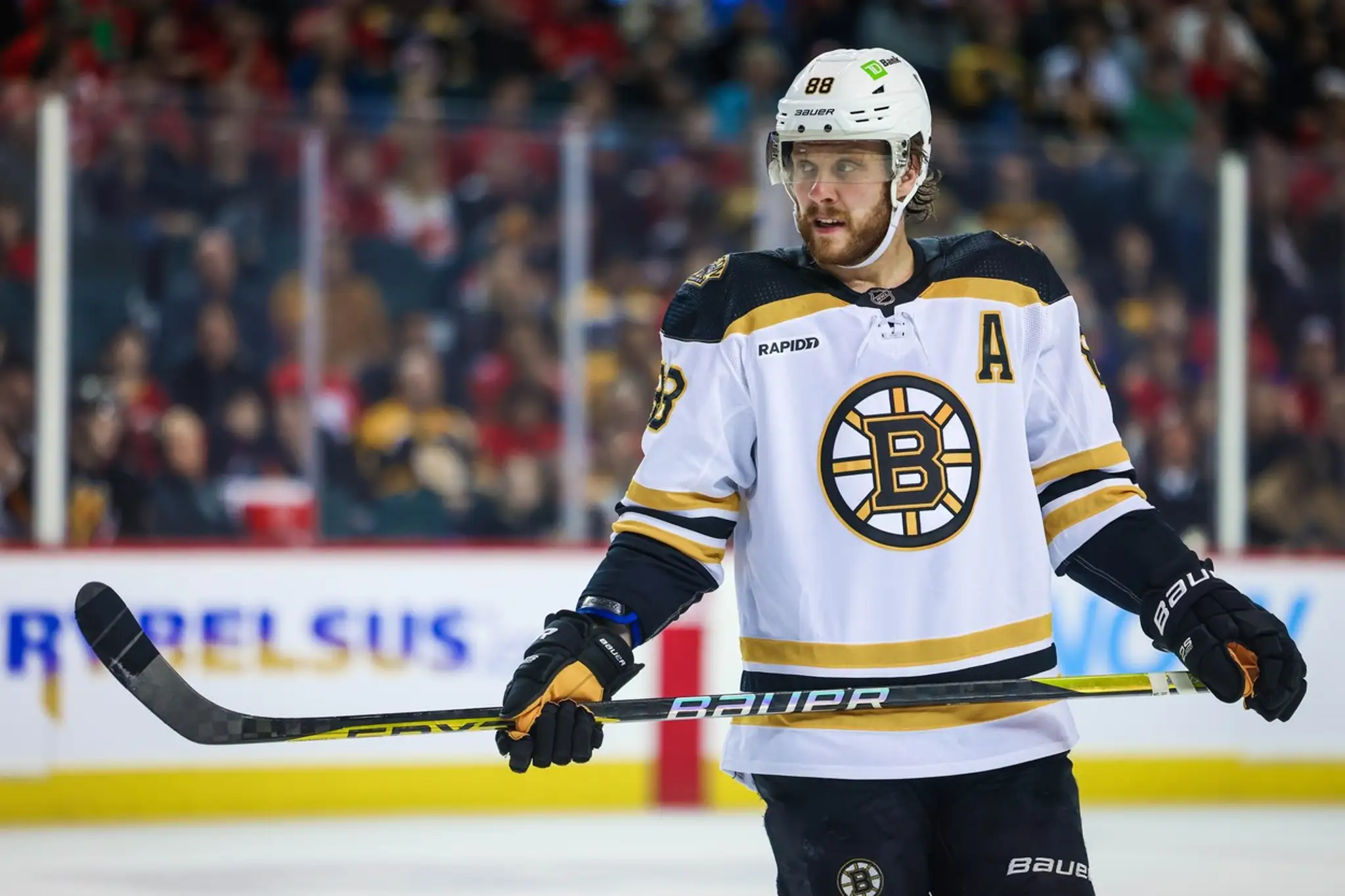 David Pastrnak