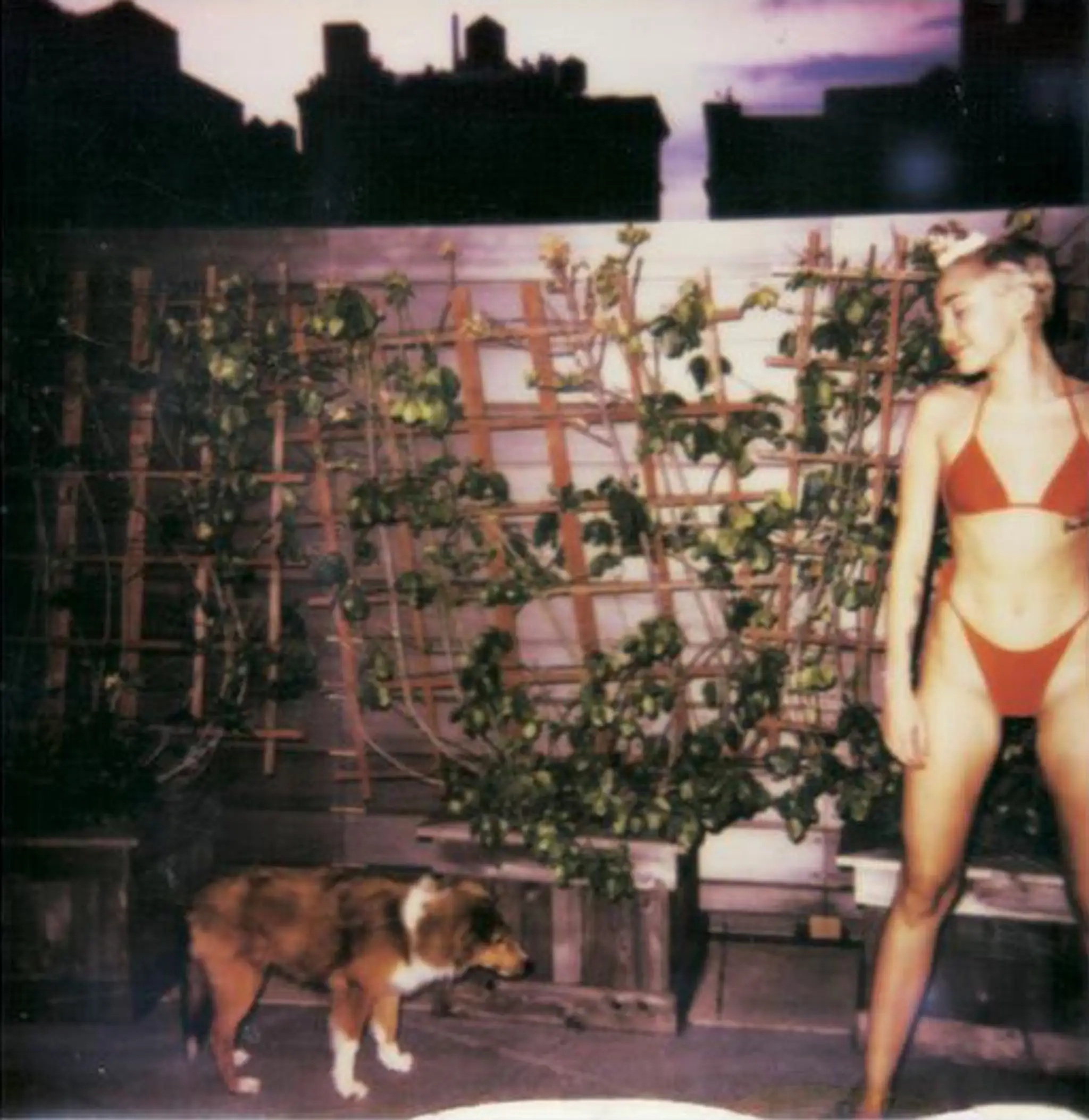 Miley Cyrus pre V magazine.