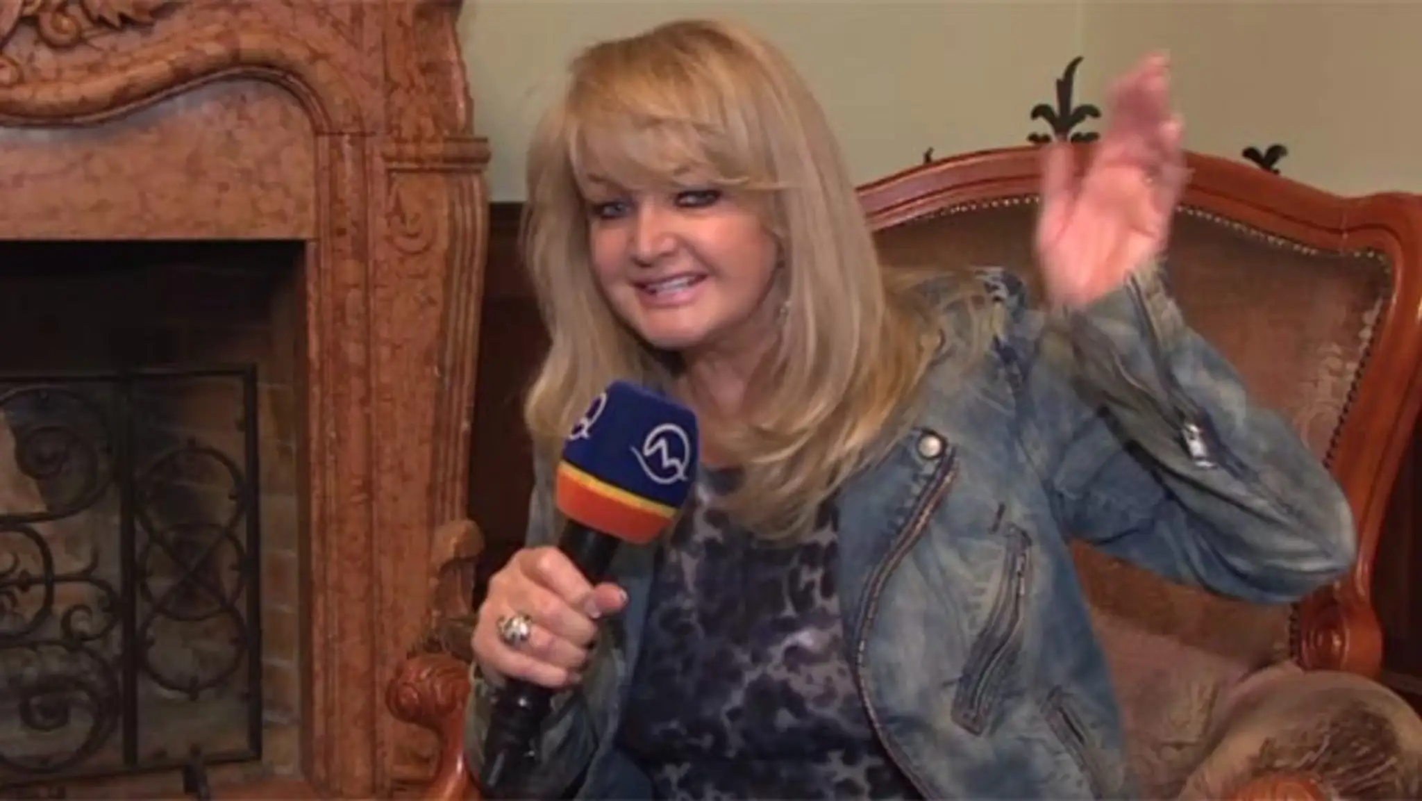 bonnie tyler.jpg