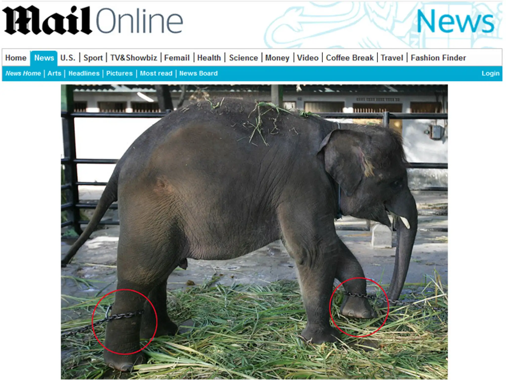 Najhoršia zoo je v Indonézii