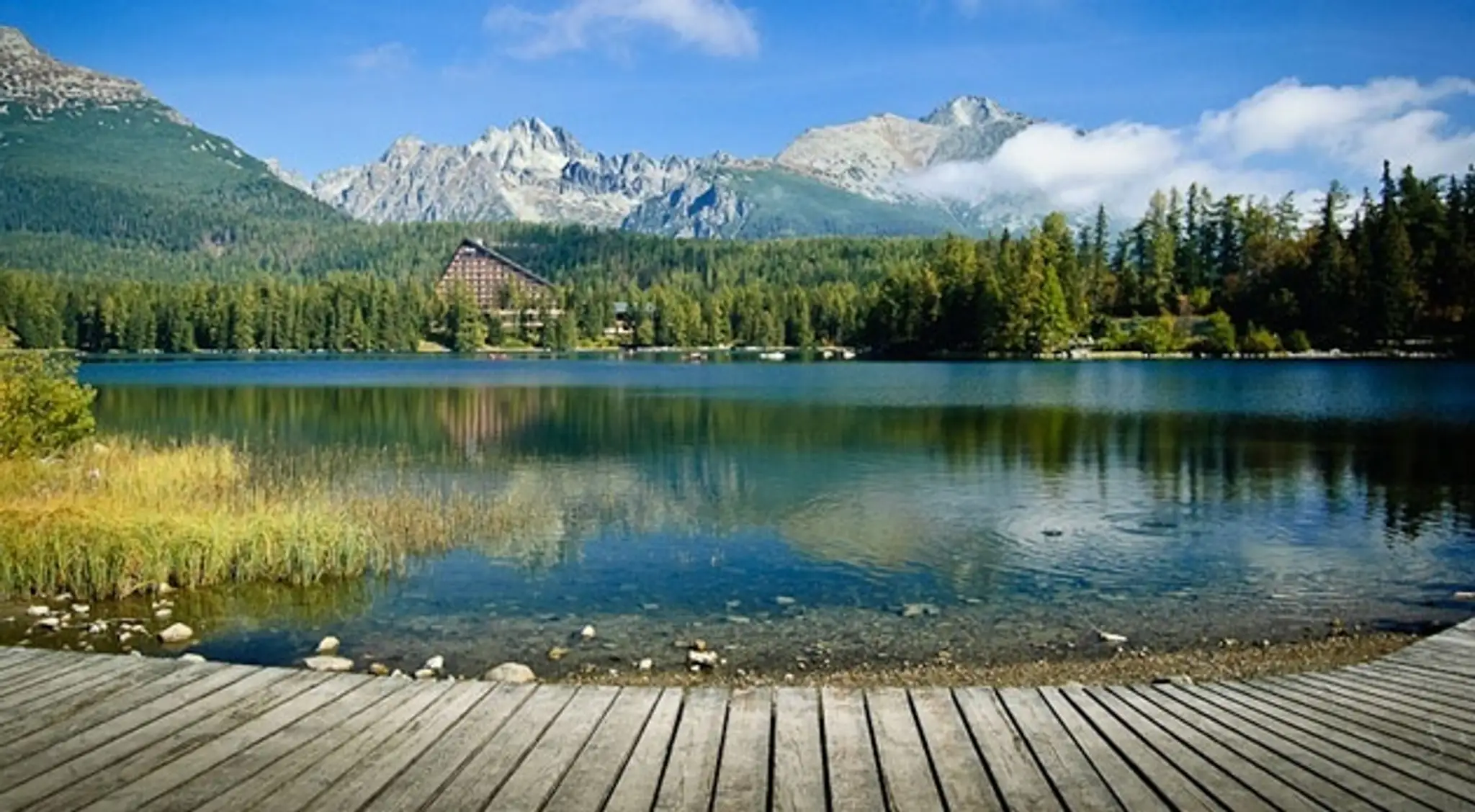 630_4884_galeria7.jpg