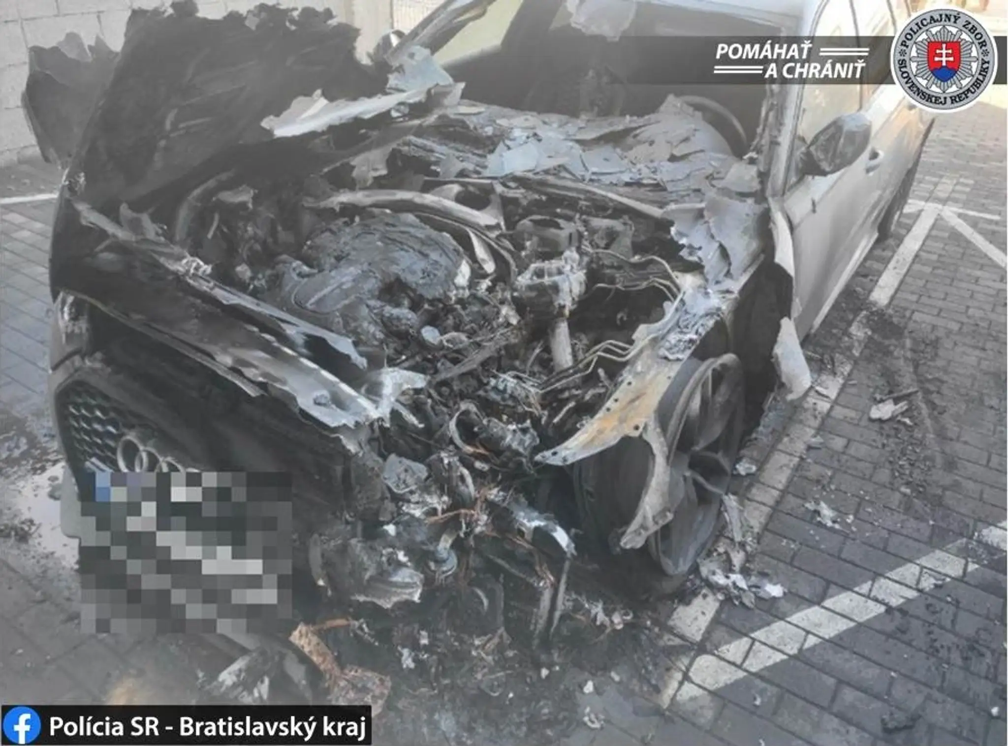 Štvorročný Stellan so šesťmetrovou slnečnicou